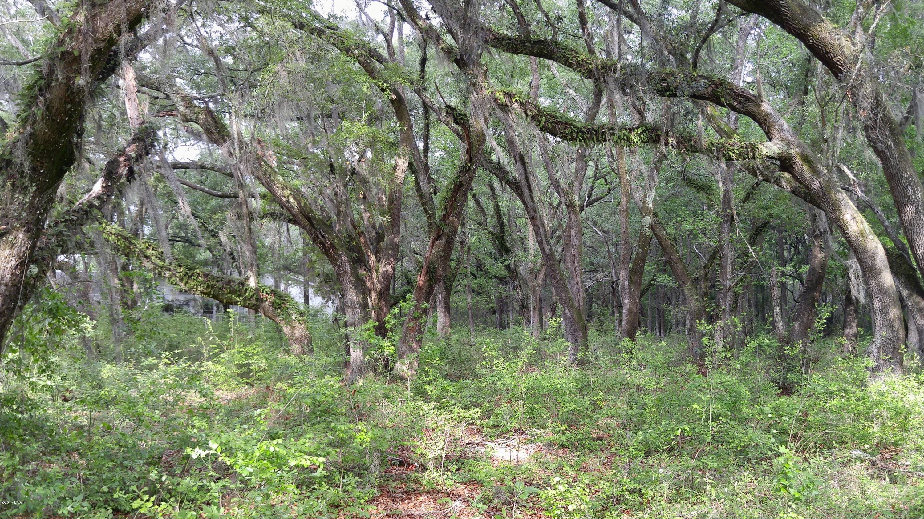 No Named Subdivision - Land