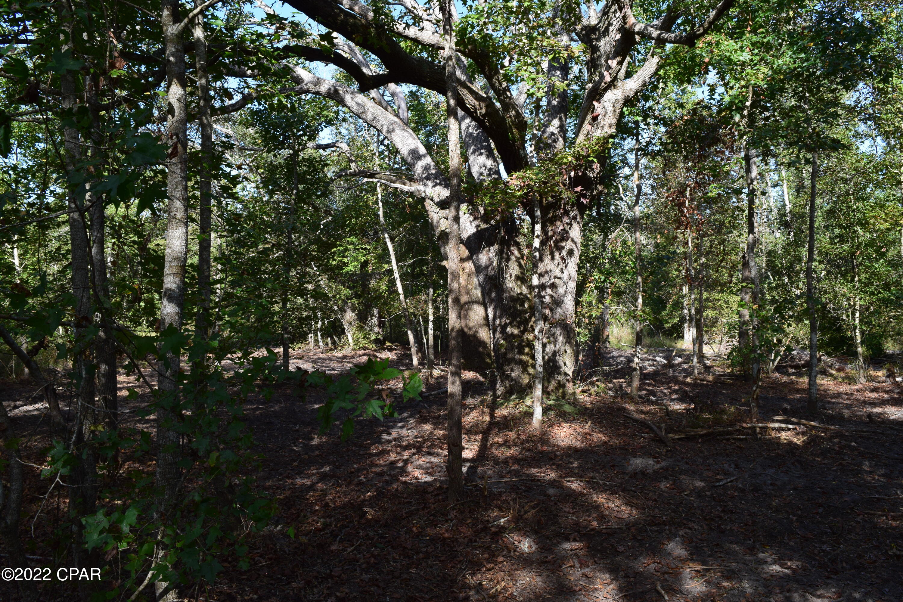 Alford - Land