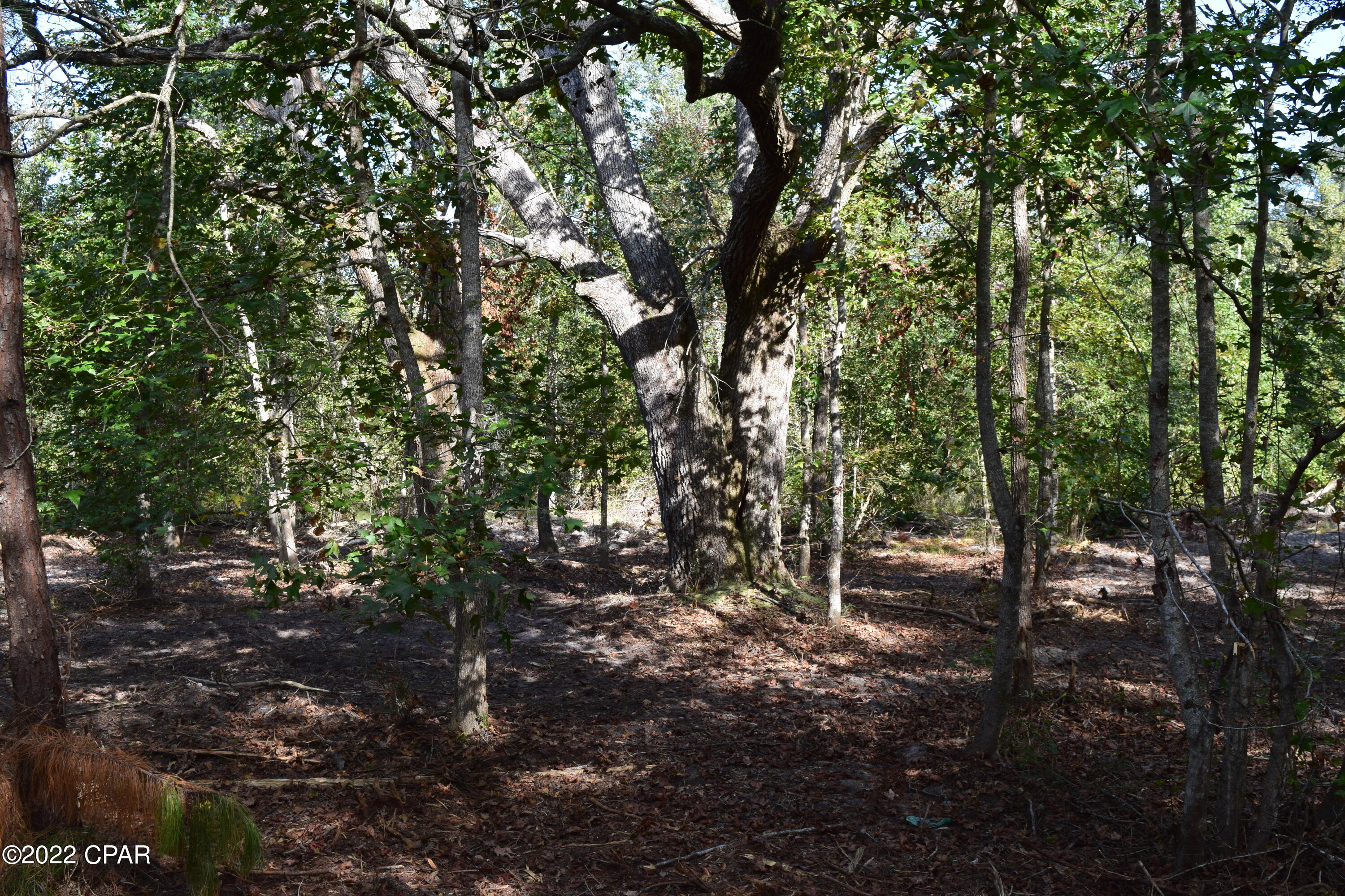 Alford - Land