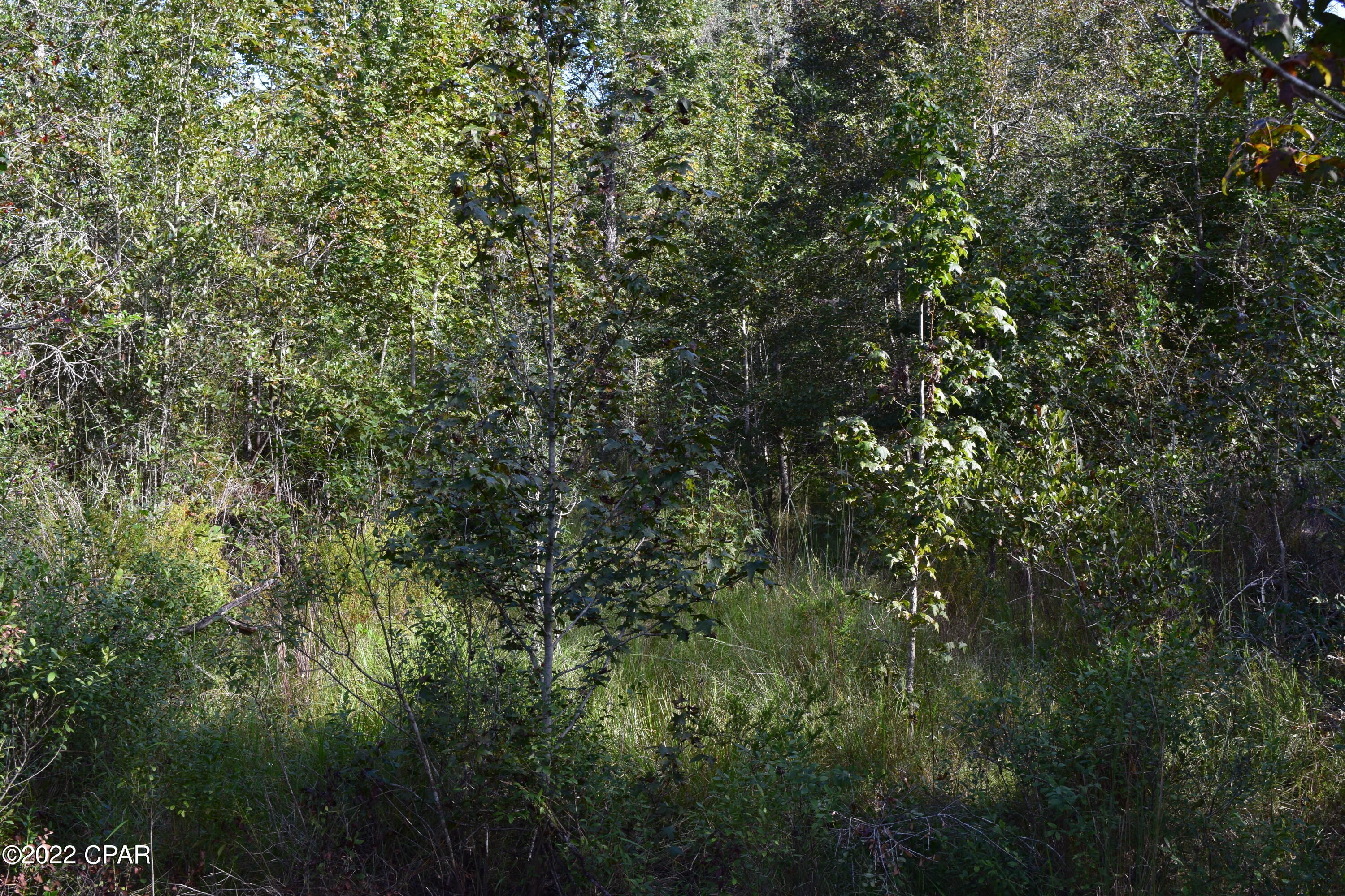 Alford - Land