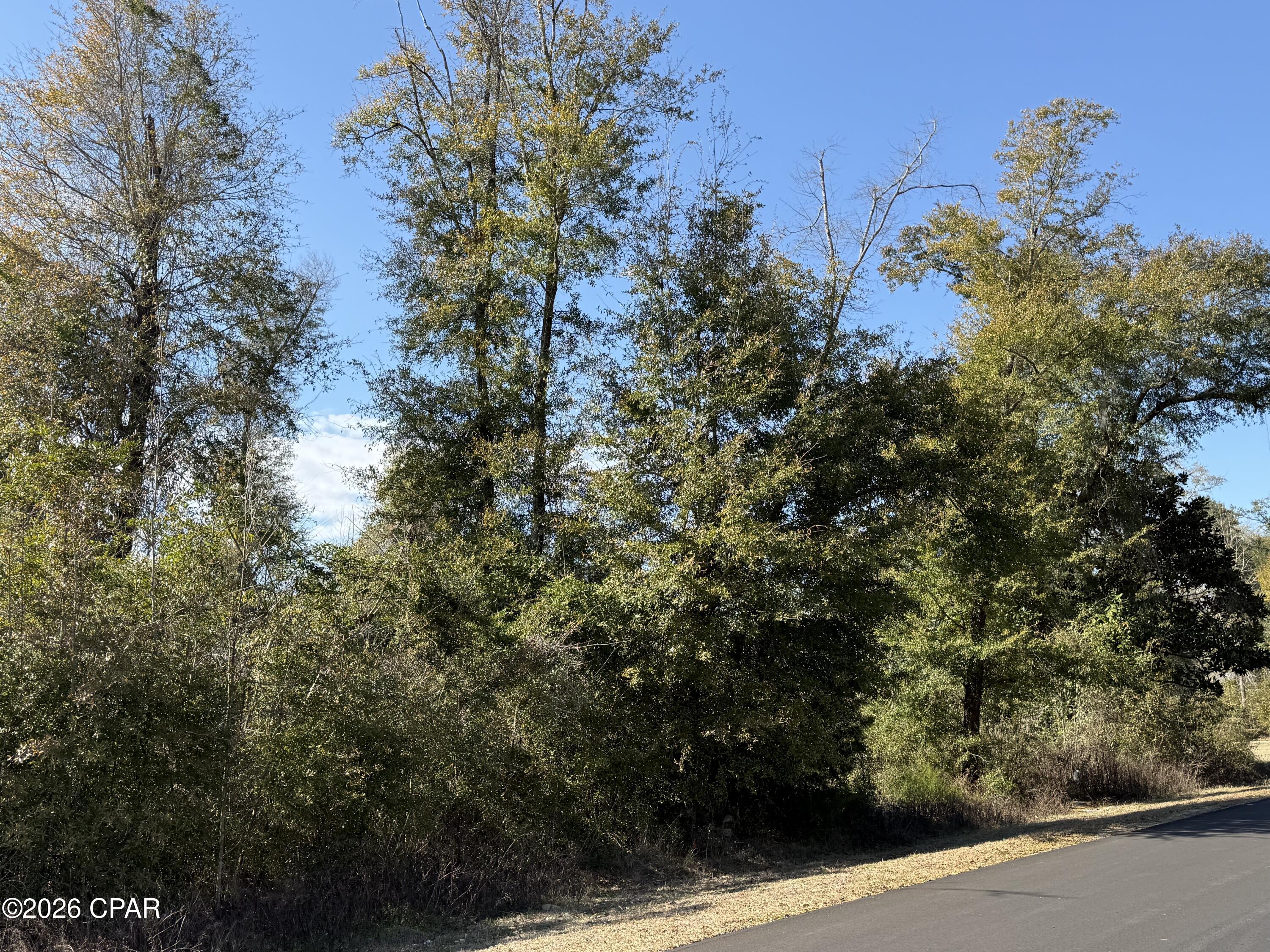 Discover the perfect place to build your dream home on this 1.09 ± acre lot (#3) located in the private and peaceful Indian Springs Golf Club community in Marianna, Florida. Known for its friendly, close-knit atmosphere, Indian Springs is a neighborhood where you can truly slow down, relax, and feel at home, while still staying conveniently close to shopping, dining, and everyday necessities. Recent upgrades to the community include newly paved roads and connection to water/sewer access.
The community features the 18-hole Indian Springs Golf Club, complete with a clubhouse and pro shop, all set among beautiful natural scenery. Whether you're an avid golfer or simply enjoy the serene surroundings, this neighborhood offers a welcoming lifestyle that's hard to find.
One of the most special features of this property is its deeded access to Merritt's Mill Pond, located just a short walk from your back door. This 202-acre, spring-fed pond boasts crystal-clear water that stays cool year-round and stretches nearly four miles in length. Known as one of the area's premier fishing spots, the pond offers excellent shellcracker fishing along with kayaking, canoeing, and peaceful waterfront enjoyment. Public access is only 3.5 miles away.
Located in the heart of the Florida Panhandle, Marianna offers small-town charm with easy access to outdoor recreation, natural springs, and scenic waterways. This lot provides a rare opportunity to enjoy golf course living paired with recreational access, all in a quiet, welcoming community.
Whether you're planning a full-time residence, retirement home, or peaceful getaway, this property offers the setting, lifestyle, and location to make it truly special.
Contact us today for more information on this beautiful opportunity in Indian Springs!  (Note: Buyer should verify utilities, property restrictions, and listing details.)
Key Features:

*Deeded access to Merritt's Mill Pond
*Public access to Merritt's Mill Pond - 3.5 miles
*Private and peaceful community living
*18-hole community golf course
*Build now or investment in the future