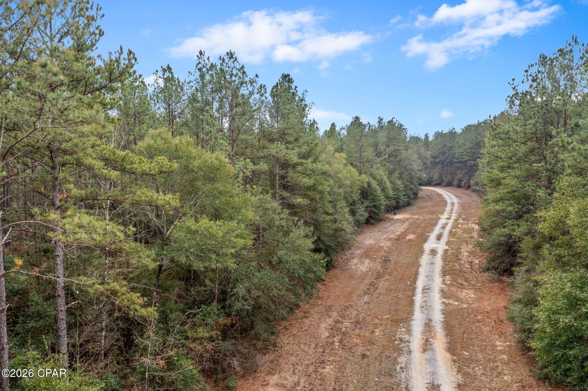 Reedy Creek - Land