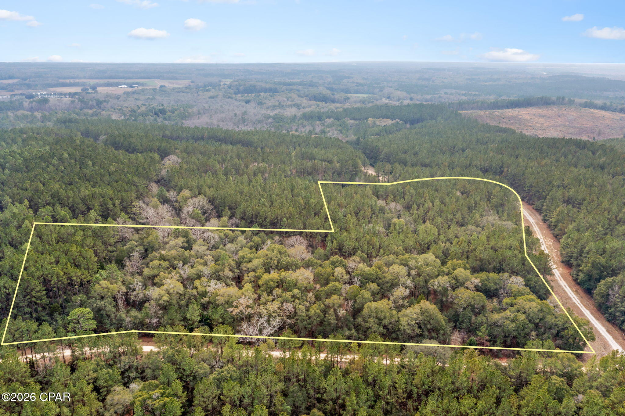 Reedy Creek - Land