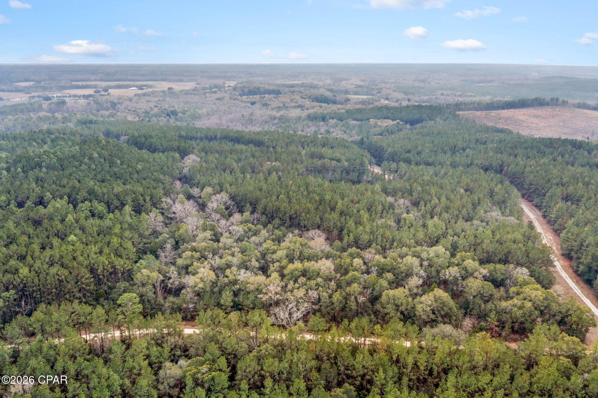 Reedy Creek - Land