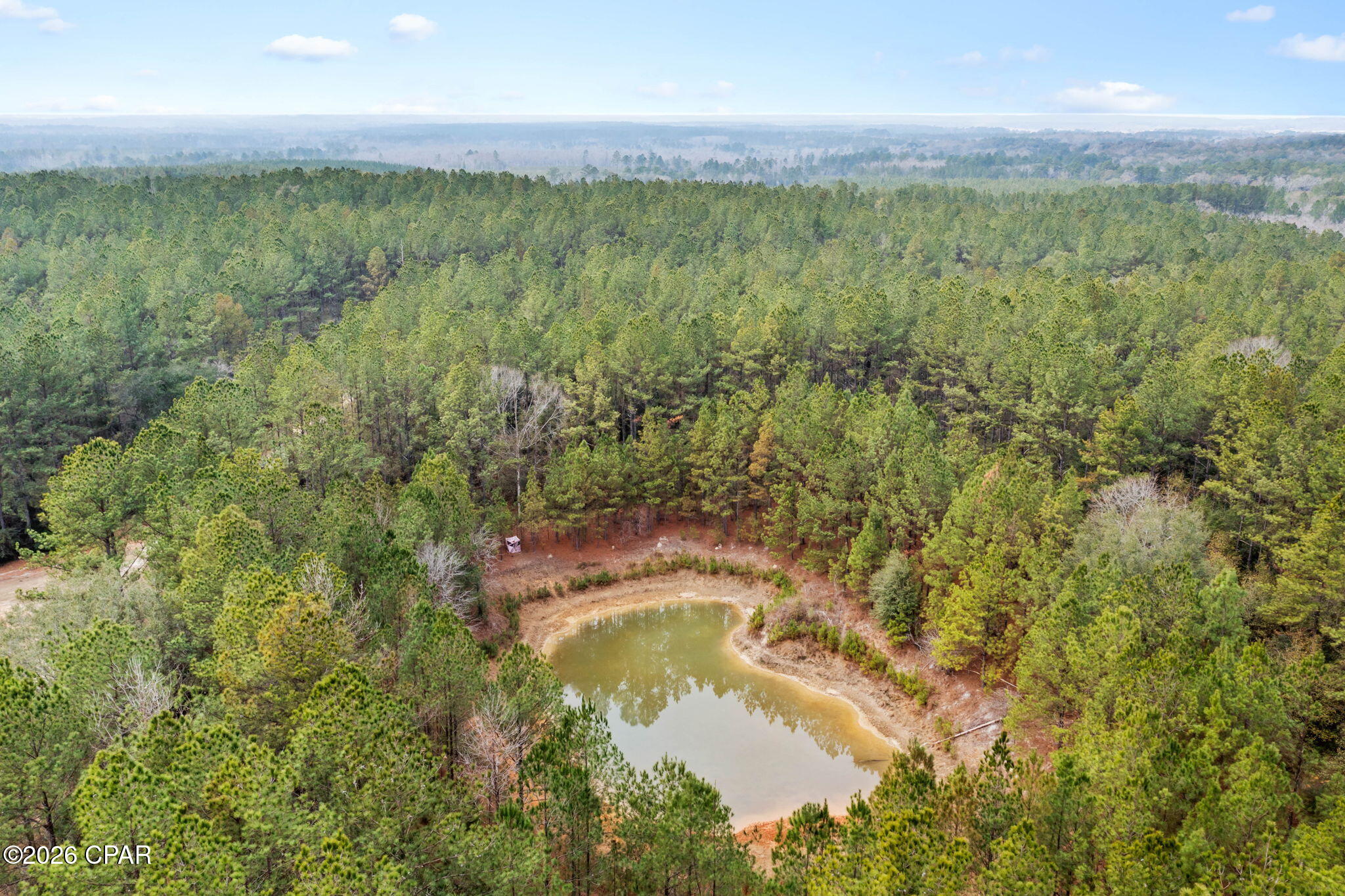 Reedy Creek - Land