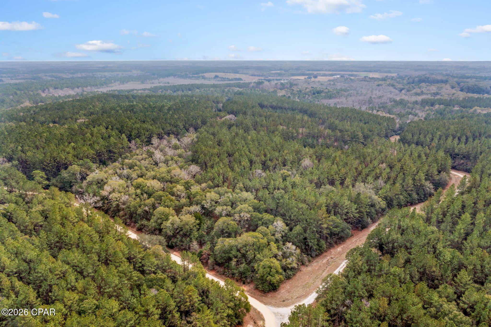 Reedy Creek - Land