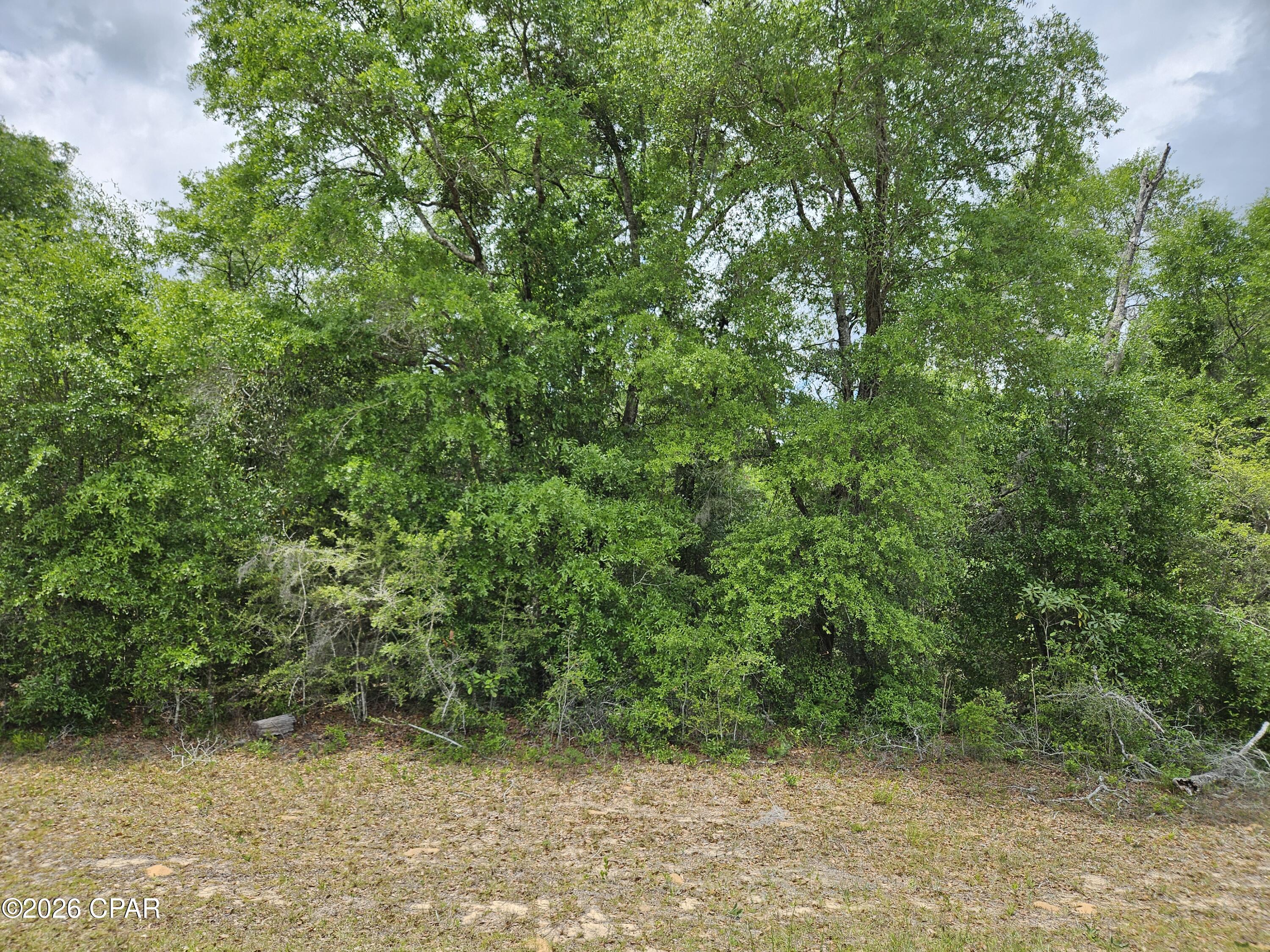 This 1/3 acre flat lot in Sunny Hills is in the growing subdivision and also is water view with a small lake just beyond the back boundary line. The gentle slope toward the back will offer some nice water views. The lot has plenty of trees for shade and would a good place to build your new home. There are plenty of recreational opportunities including clear Boat Lake that is a great spot for family outings as it includes picnic tables, men's and women's restrooms, some playground equipment and more. More information is available on its Facebook page. Also, Sunny Hills Golf and Country Club has a nice 18-hole course with big greens and wide fairways. Gap Pond with a boat launch is not far away. Water hookup would be through U.S. Water, and electricity service is available.