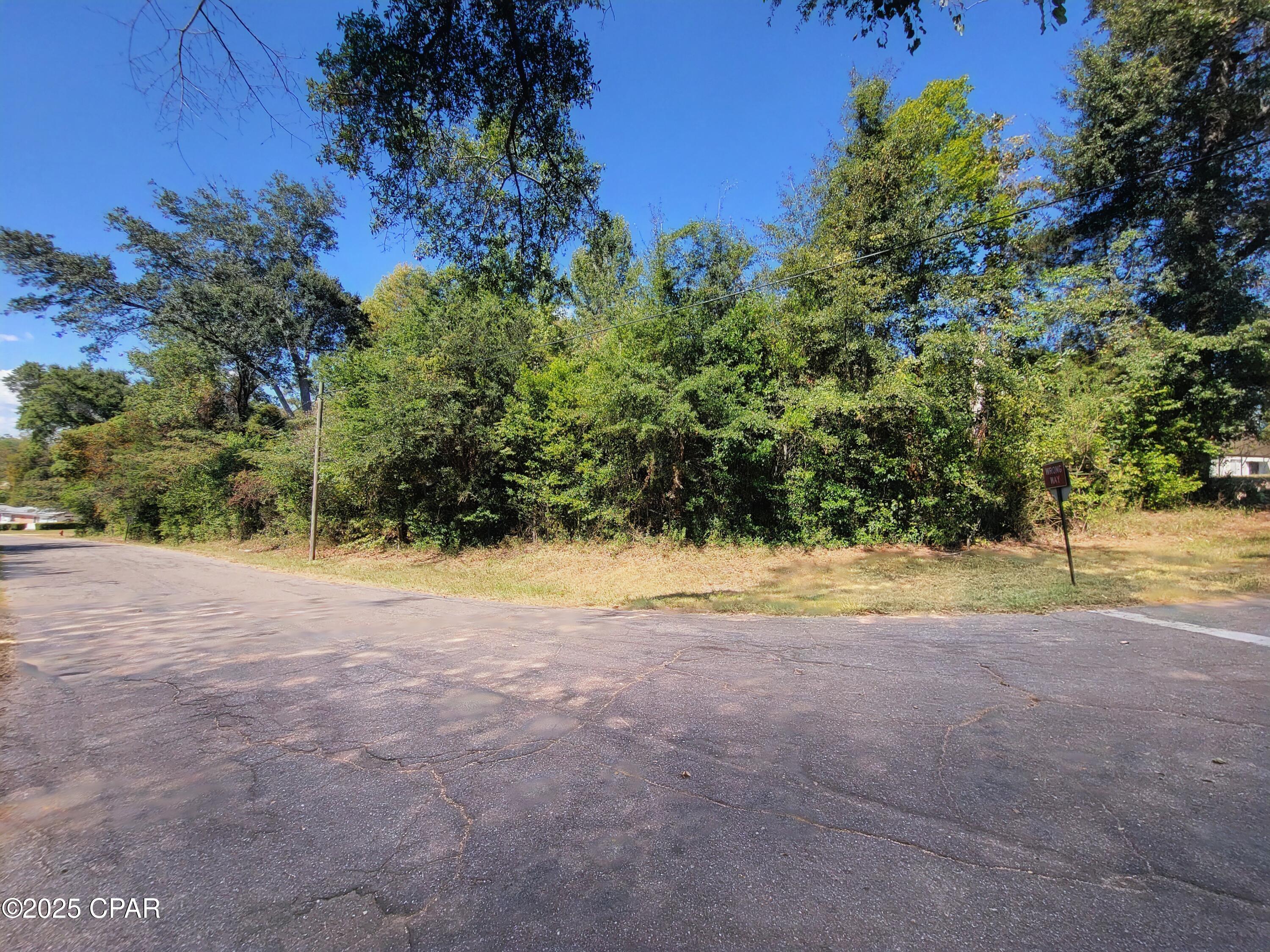 🌳 3-Acre Vacant Lot in the Heart of Marianna, FL 🌳

Don't miss this rare opportunity to own 3 high-and-dry acres perfectly located in the center of Marianna! Just 1 mile from Chipola College, 1.5 miles from Jackson Hospital, and only 2 miles from the Florida Caverns State Park, this property offers both convenience and natural beauty.

Zoned R-3, this versatile property allows for single-family or multi-family use, making it an excellent choice whether you're looking to build your dream home, create rental opportunities, or invest for future development.

With close access to shopping, dining, schools, and medical facilities, you'll enjoy the best of both worlds—peaceful acreage with all amenities just minutes away.

This listing includes 3 parcels: 34-5N-10-0361-0010-0200, 34-5N-10-0361-0010-0180 & 34-5N-10-0361-0010-0160. Survey Available