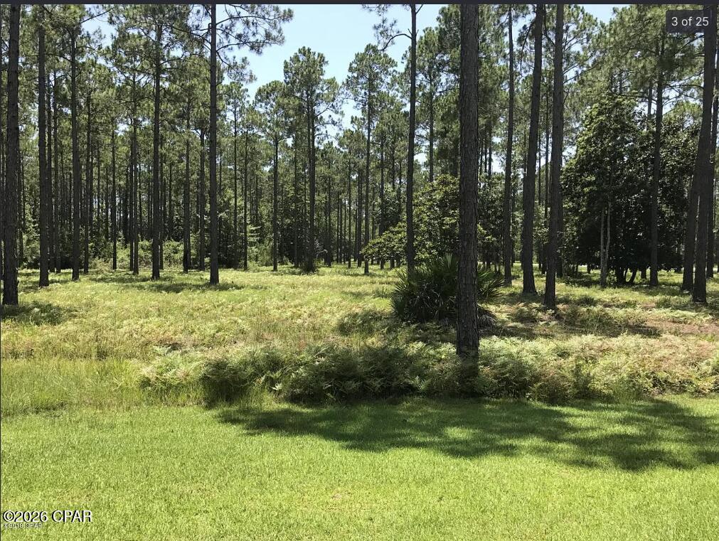 Rivercamps On Crooked Creek - Land