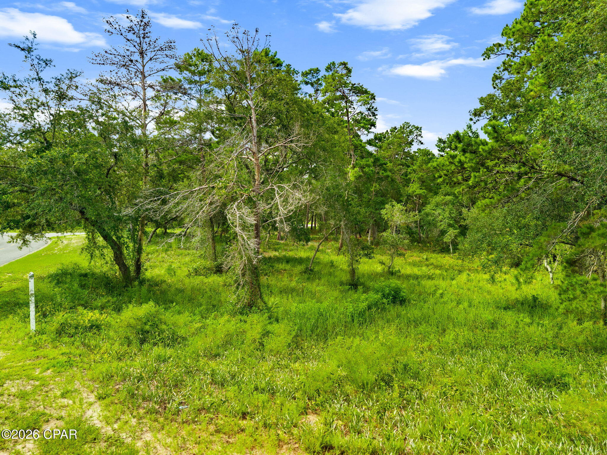 Wild Heron Phase XIII - Land