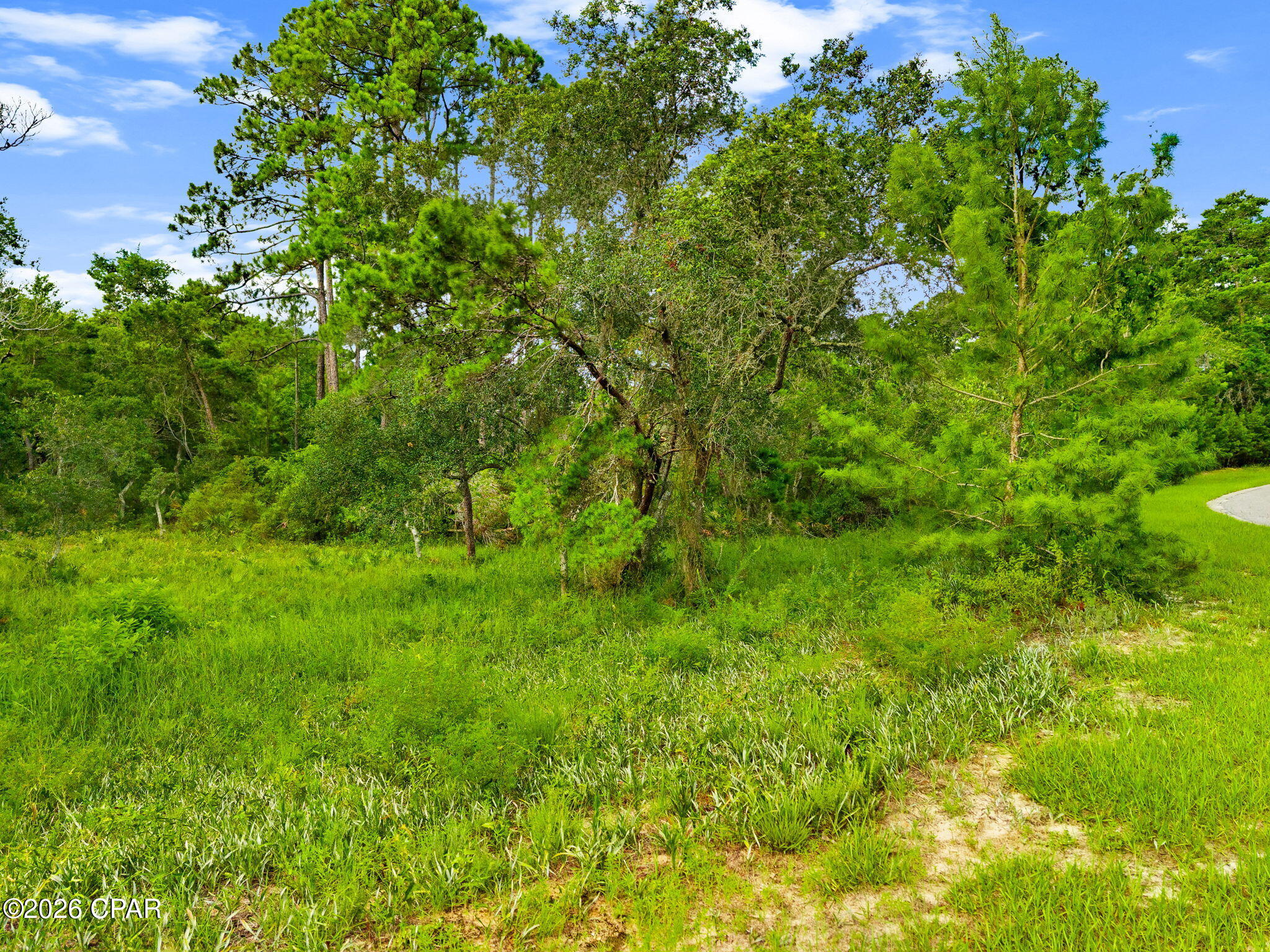 Wild Heron Phase XIII - Land