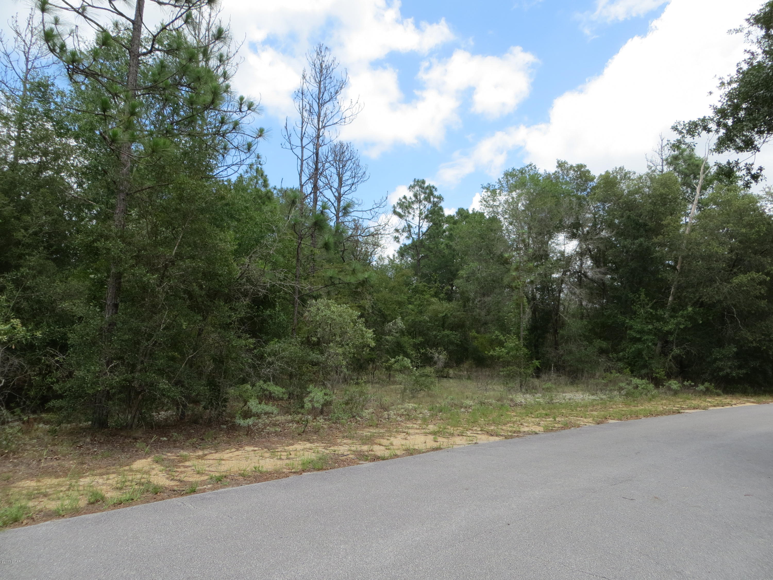 Leisure Lakes 1st Add - Land
