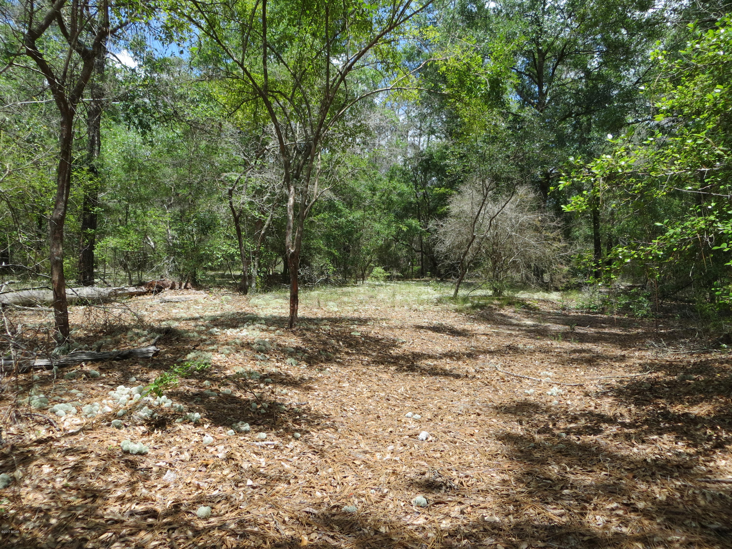 Estate sized Privacy! 3.75 acres all high and dry! Nice and level! Great trees! All paved road access. Less than 25 miles to Lynn Haven and soon to be all 4-laned for easy commute. Enjoy the safety of a Gated Community with amenities such as pool and beach, picnic and playground. Pavilion for family gatherings.  Tennis and basketball courts.  Easy walk to boat ramp.