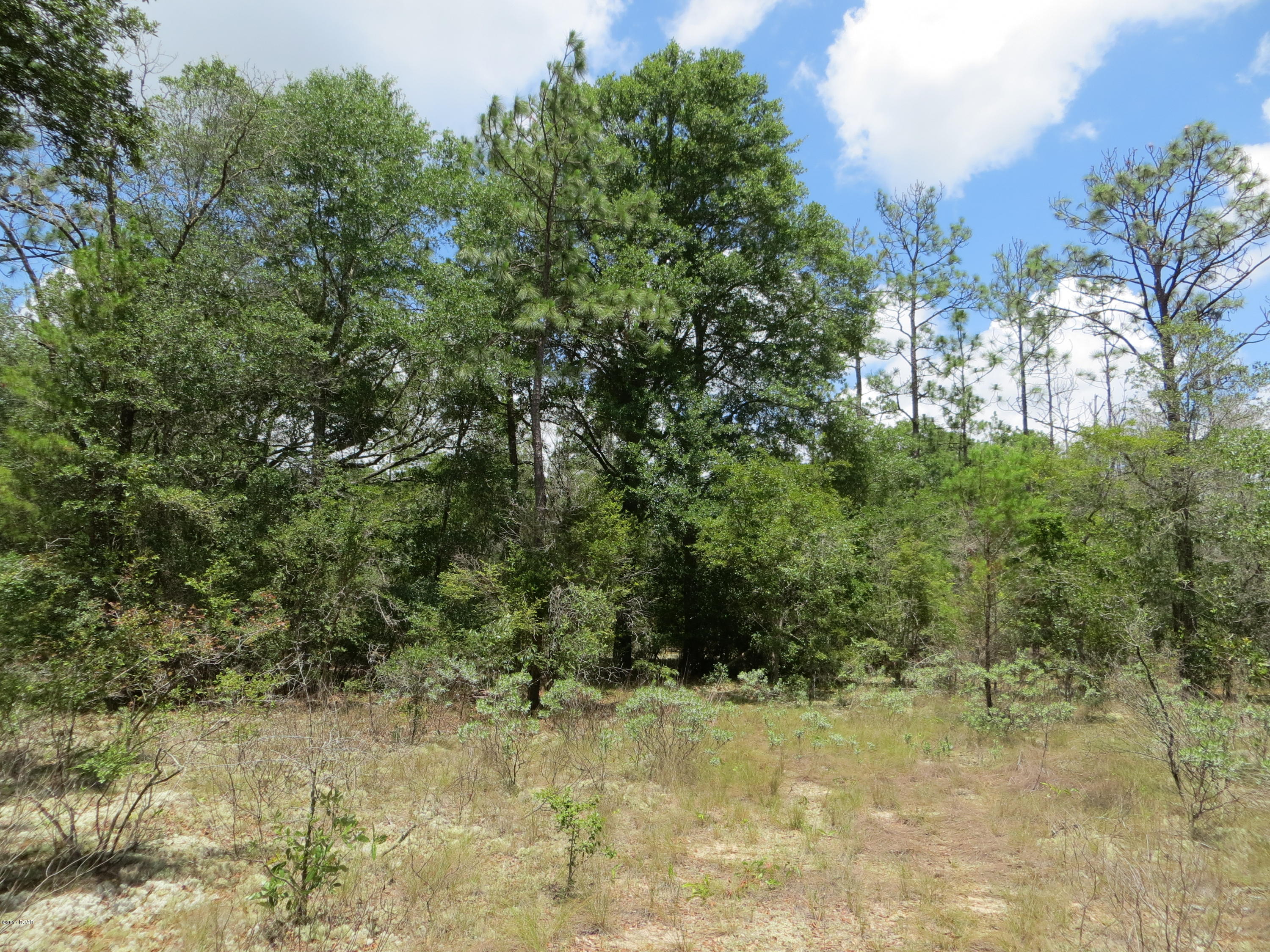 Leisure Lakes 1st Add - Land