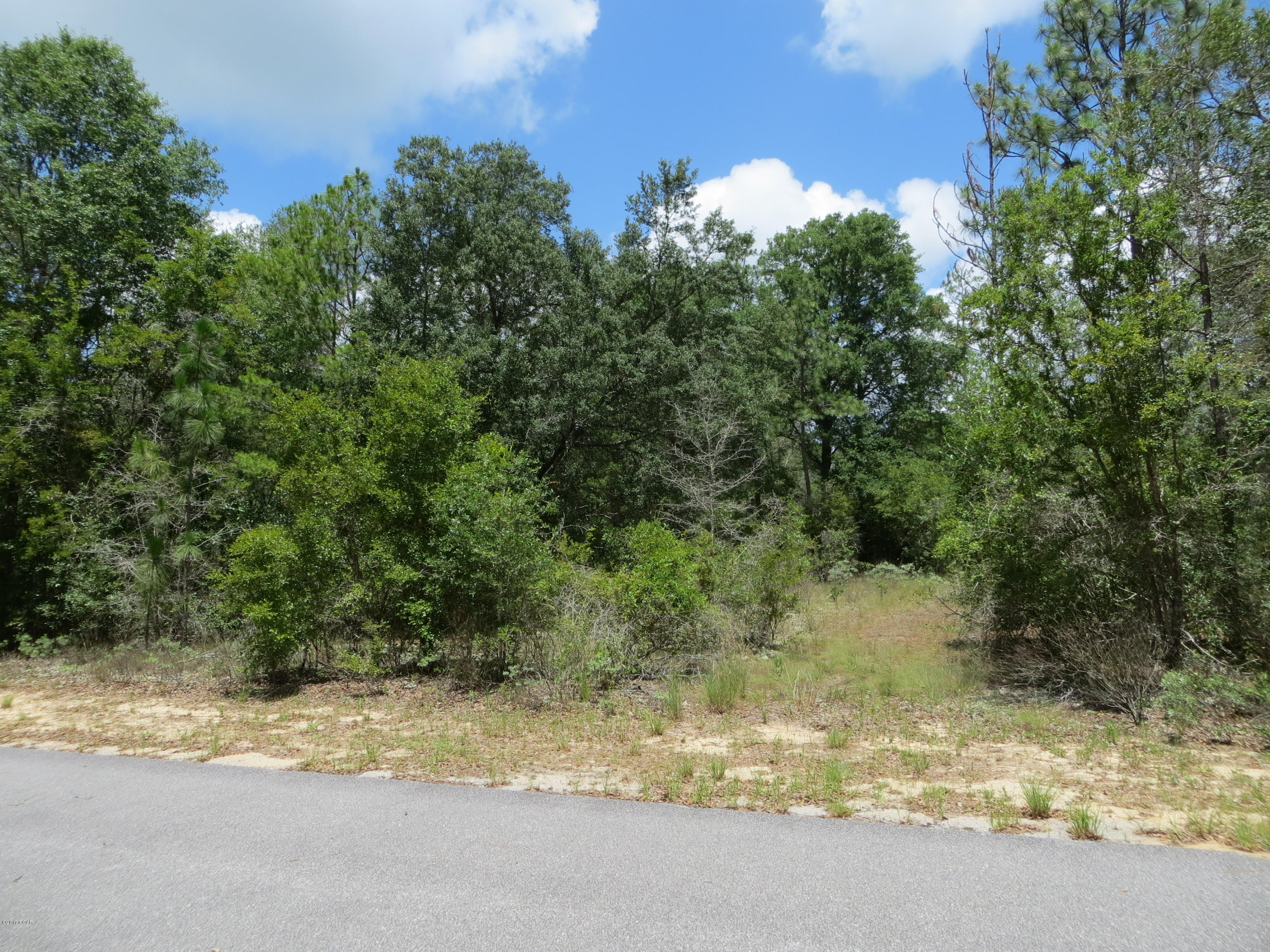 Leisure Lakes 1st Add - Land