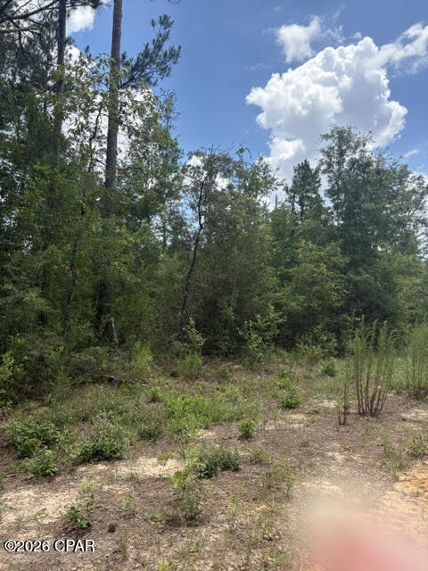 Compass Lake Hills Unit 3 - Land