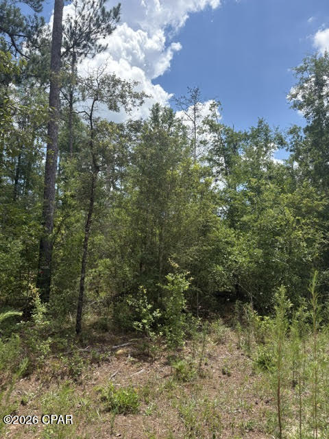 Compass Lake Hills Unit 3 - Land