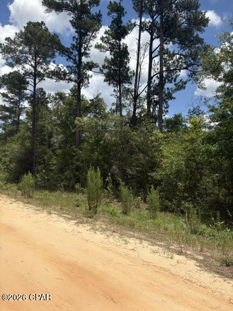 Compass Lake in the Hills now welcomes mobile homes! This beautiful 1.4-acre wooded lot (MOL) is located on a quiet dead-end street, offering privacy and flexibility to choose the perfect homesite. Power is available nearby for convenient connection.  The annual POA fee is just $135 and membership is optional. Members enjoy voting rights, access to McCormick Lake (a no-gas-engine lake), and use of the community clubhouse. Outdoor enthusiasts will appreciate nearby fishing, boating, and water recreation at the spring-fed 581-acre Compass Lake.  Conveniently located less than an hour from Panama City and the Gulf Coast beaches, this property offers the perfect balance of peaceful country living and easy access to shopping, dining, and coastal attractions. Compass Lake in the Hills is a spacious, lightly developed community known for its natural beauty, quiet atmosphere, and room to spread out. Whether you're looking for a full-time residence, weekend getaway, or future investment, this lot is ready for your vision.