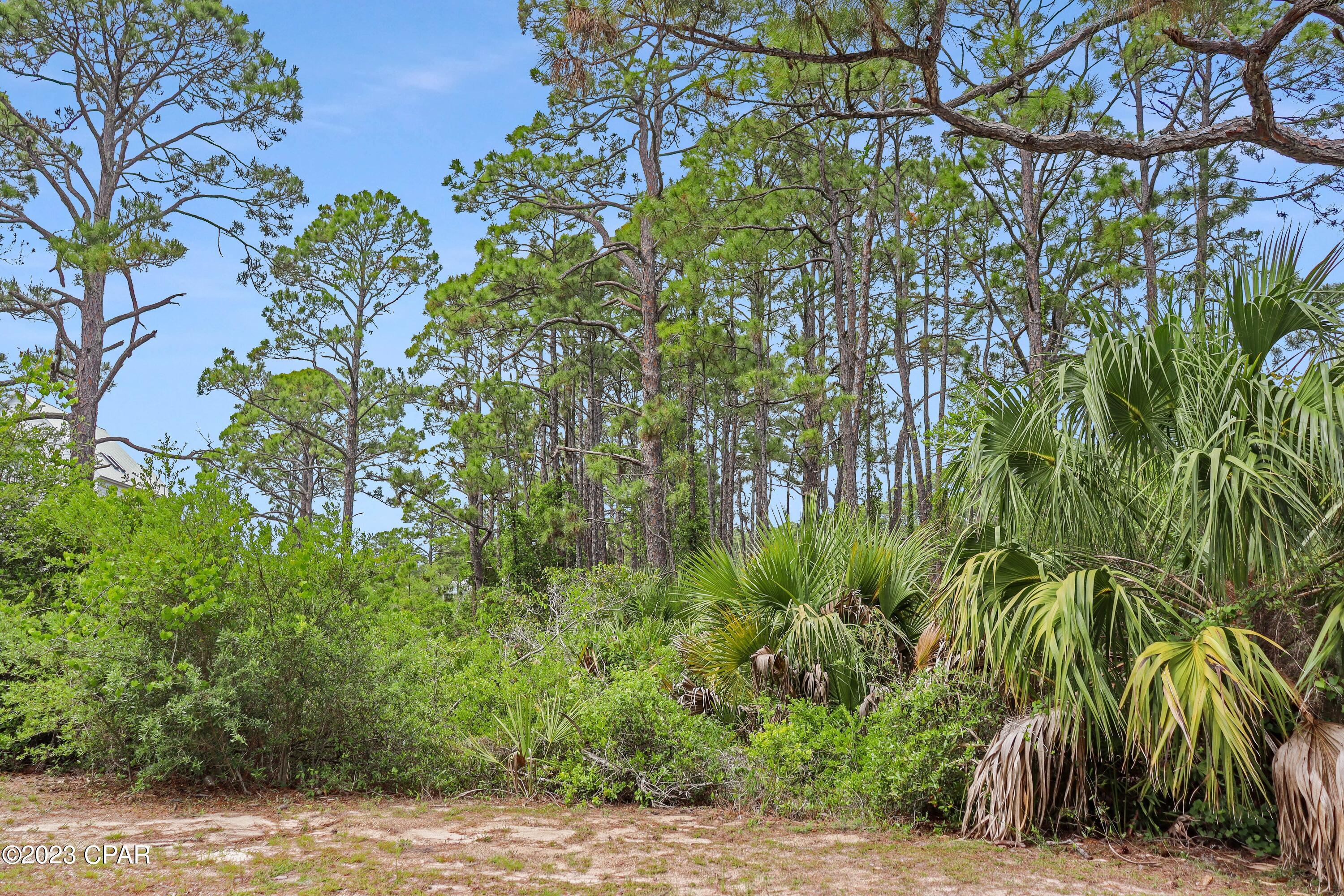Surfside Estates II - Land