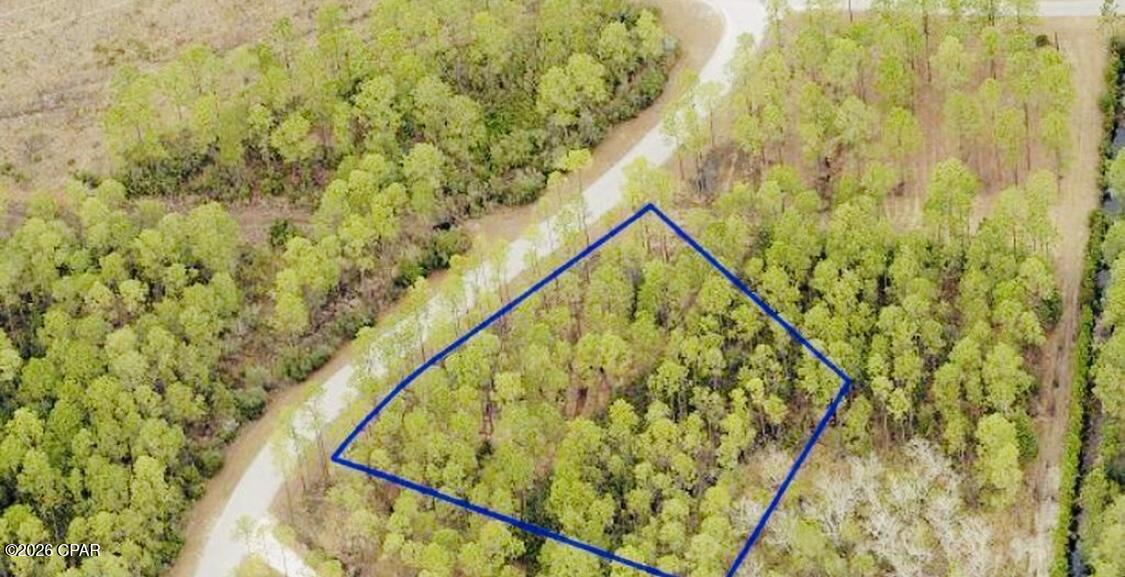 River Camps is not just a Extraordinary community, its a LIFE STYLE you get when you buy !!!! You will be living on .93 of an acre while on a paved road for your DREAM HOME!!!
Lot 231 provides a large buildable area allowing plenty of room to build the home of your dreams in one of Panama City Beach's most sought after communities. This is a gated, private oasis consisting of 1500 acres located on 3 bodies of water: West Bay, Crooked Creek and the IntraCoastal Waterway. This area truly is the angler's paradise and sportmans retreat !!!! Over 1000 acres dedicated to conservation this is not a ''cookie-cutter'' neighborhood. You get to see deer walking the neighborhood, what a treat it is. There are 7 miles of trails throughout the community that pass along West Bay and Crooked Creek. World class amenities include a community boat ramp, day-use slips and dry-boat storage. Owners enjoy unlimited use of kayaks, canoes, paddle boards and bicycles that River Camps has to offer.

The new pool, pool pavilion, fitness center and River house are going to be remarkable. You wont want to miss your chance to build your dream home in this community. Give me a call for your private tour and lets make your dreams become REALITY !!!!!