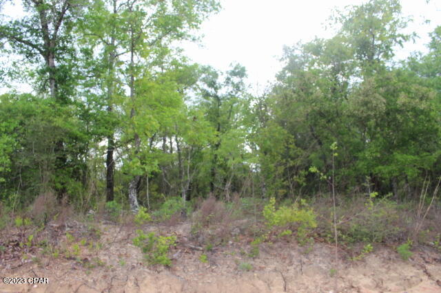5 Wooded acres MOL that appears to be high and dry. Property is located on a dead end road. Many building sites to choose from.  No deed restrictions. Connecting to power lines will be available on this road.  45 min drive MOL to Panama City to Beaches.  North to the town of Chipley should be less than a 30 min drive.