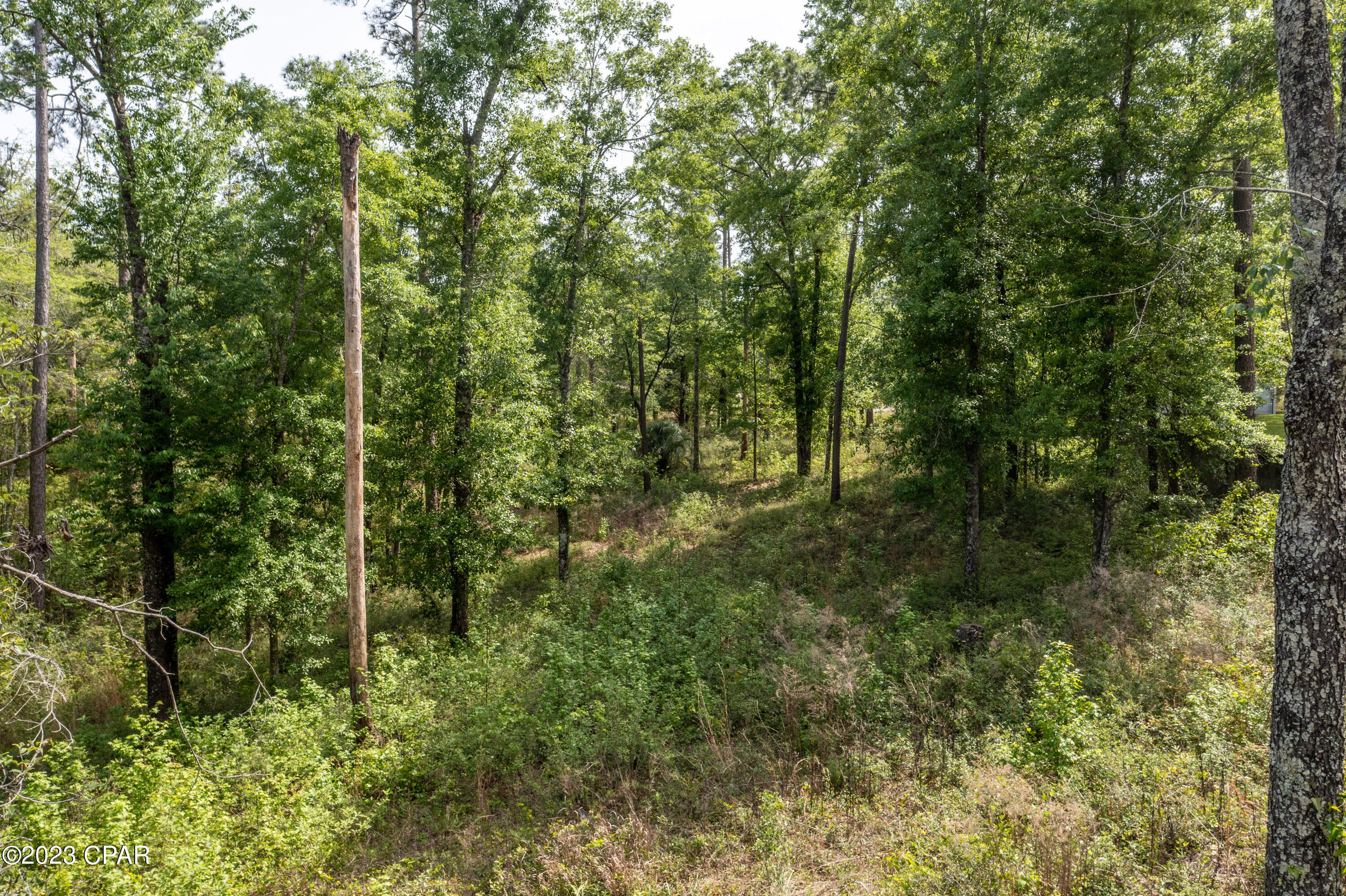 Pine Bluff - Land