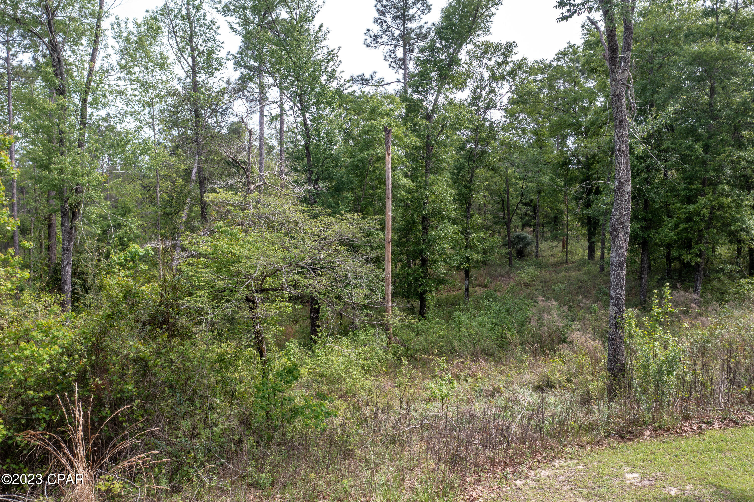 Pine Bluff - Land