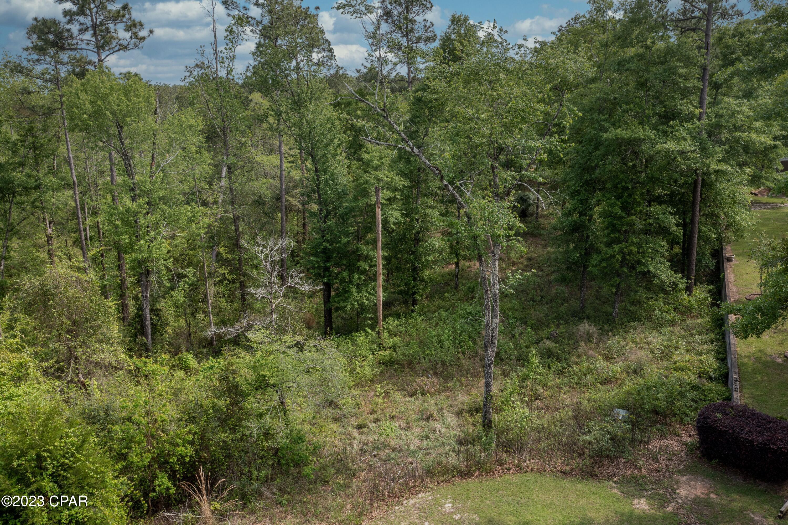 Pine Bluff - Land
