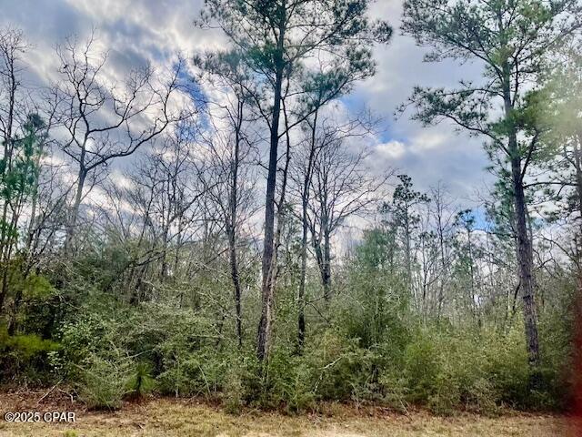 Beautiful building lot in lovely Compass Lake Hills.
This lot is  high and dry and just off of paved road. Mobile homes are allowed here also.  There is an abundance of wildlife here to enjoy.  You have easy access south to Panama City on the coast and north to Marianna for shopping.  There is a non mandatory $135 fee for access to certain amenities here but you have free access to two beautiful lakes.