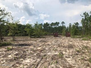 10 acres MOL located with over 300' on a paved road and the property has no deed restrictions.  2 acres have been cleared and ready to go with your moving plans.  2 8x20 containers for storage will convey with sale.  Property has been recently surveyed.  Close drive to Lake McKenzie for fishing, boating and swimming.  Also close is the public library.  45 min drive mol to Panama City to Beaches.