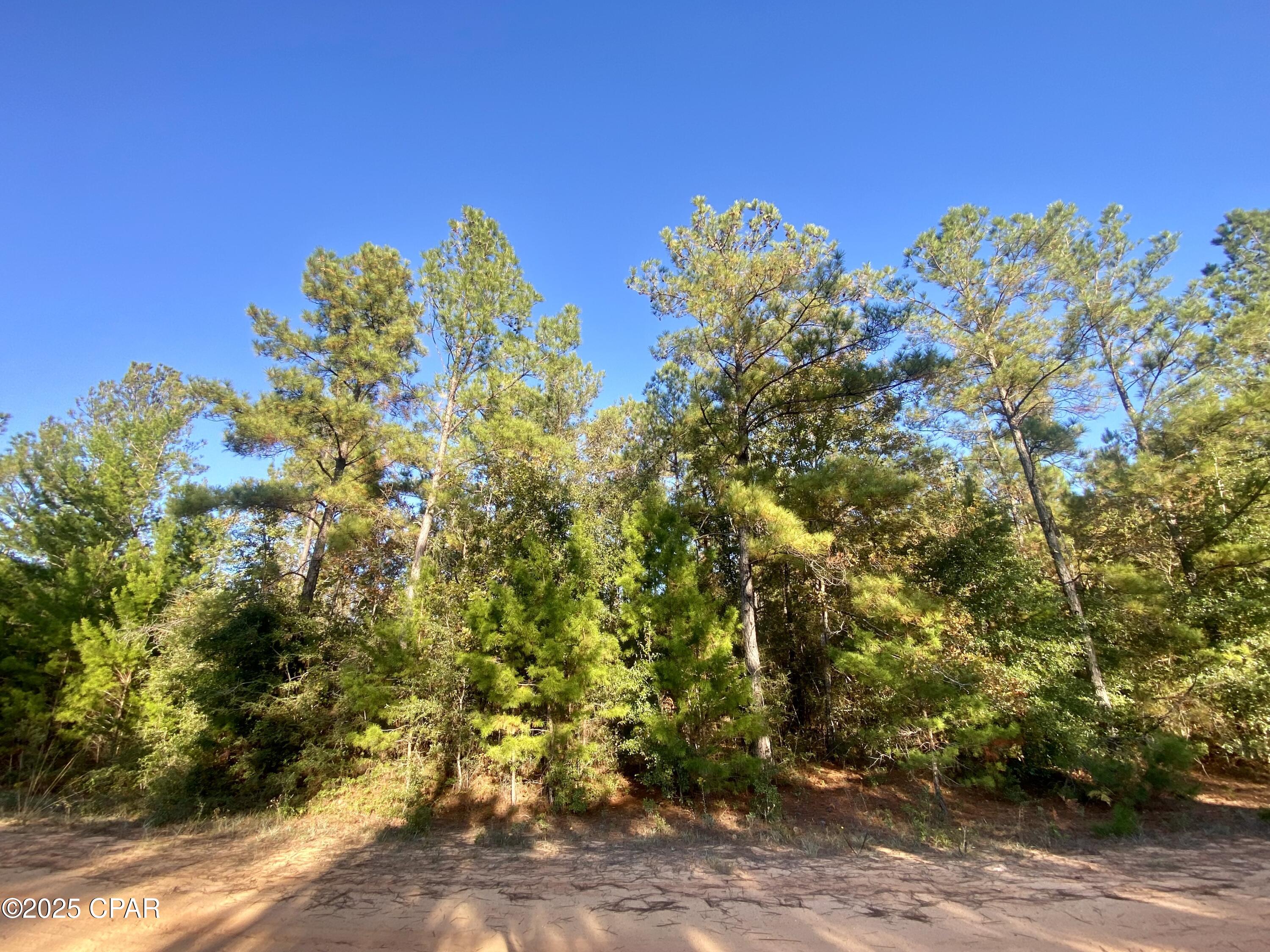 Compass Lake Hills Unit 4 - Land