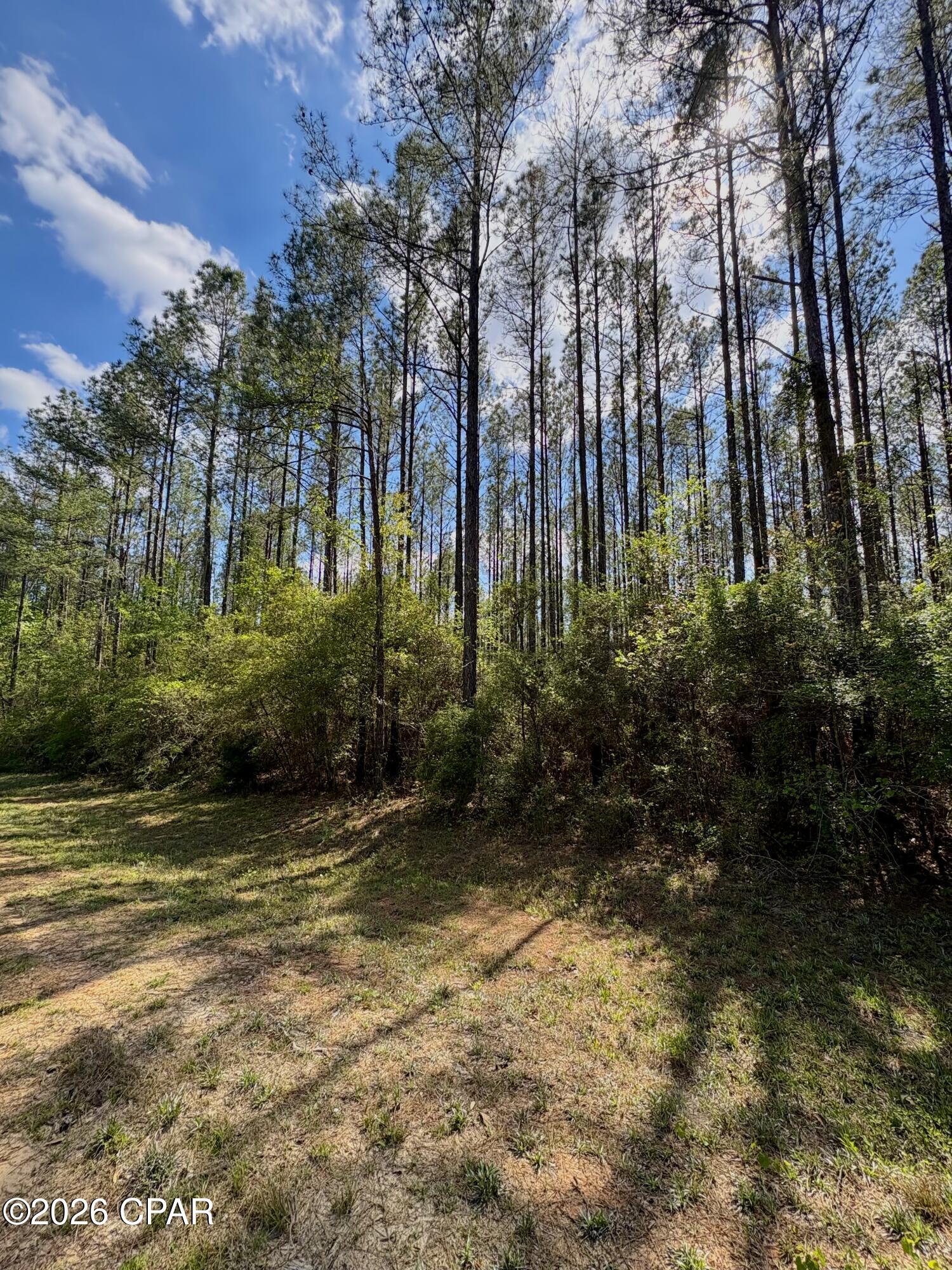 Reedy Creek - Land