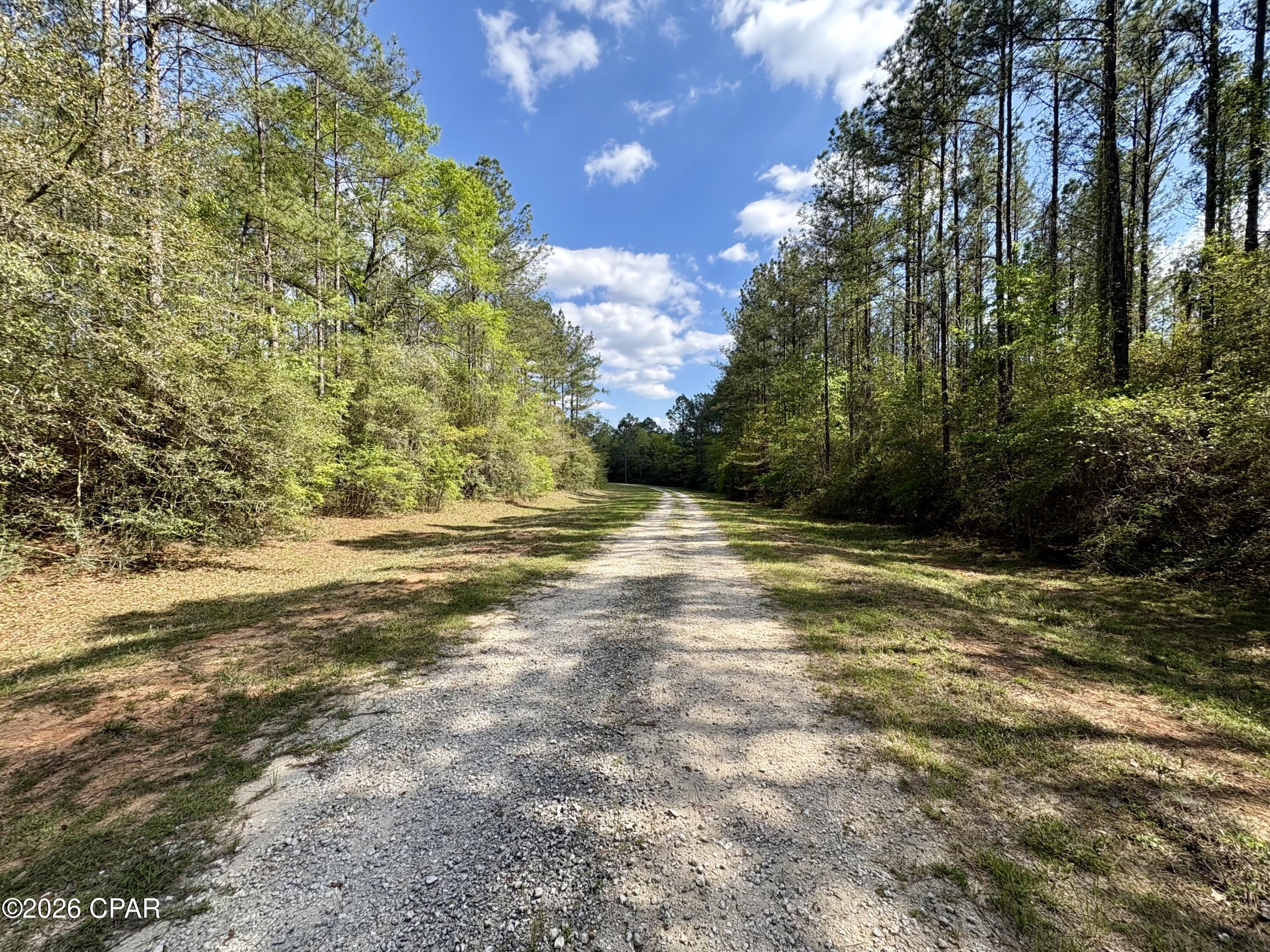 Welcome to Reedy Creek. As you drive out to this 5.7 acre property along the oak lined country roads, you will feel the true embodiment of the Florida Panhandle. Reedy Creek is a residential, gated community with underground electricity already in place. The restrictions permit 1 site-built home (no mobiles/manufactured homes) having at least 1,400 square feet and the HOA fees are $400/year. A septic and well will have to be installed for sewer/water. This area, beneath the tall pines and natural landscape gives you a picturesque place to call home along with privacy since a lot of this land has not been developed yet. There is also quite a bit of wildlife in the area to include turkey, deer, rabbits. squirrels, and more! 75% of this property is flood zone X (no flood zone) according to the Northwest Florida Water Management maps. Small section on the back is flood zone A (see flood map in photos). It is ready to be cleared and turned into a beautiful home site. This property is located a short drive from Interstate 10 and just under an hour from Panama City Beach. Buyer to pick and pay for owner's title policy/title fees.