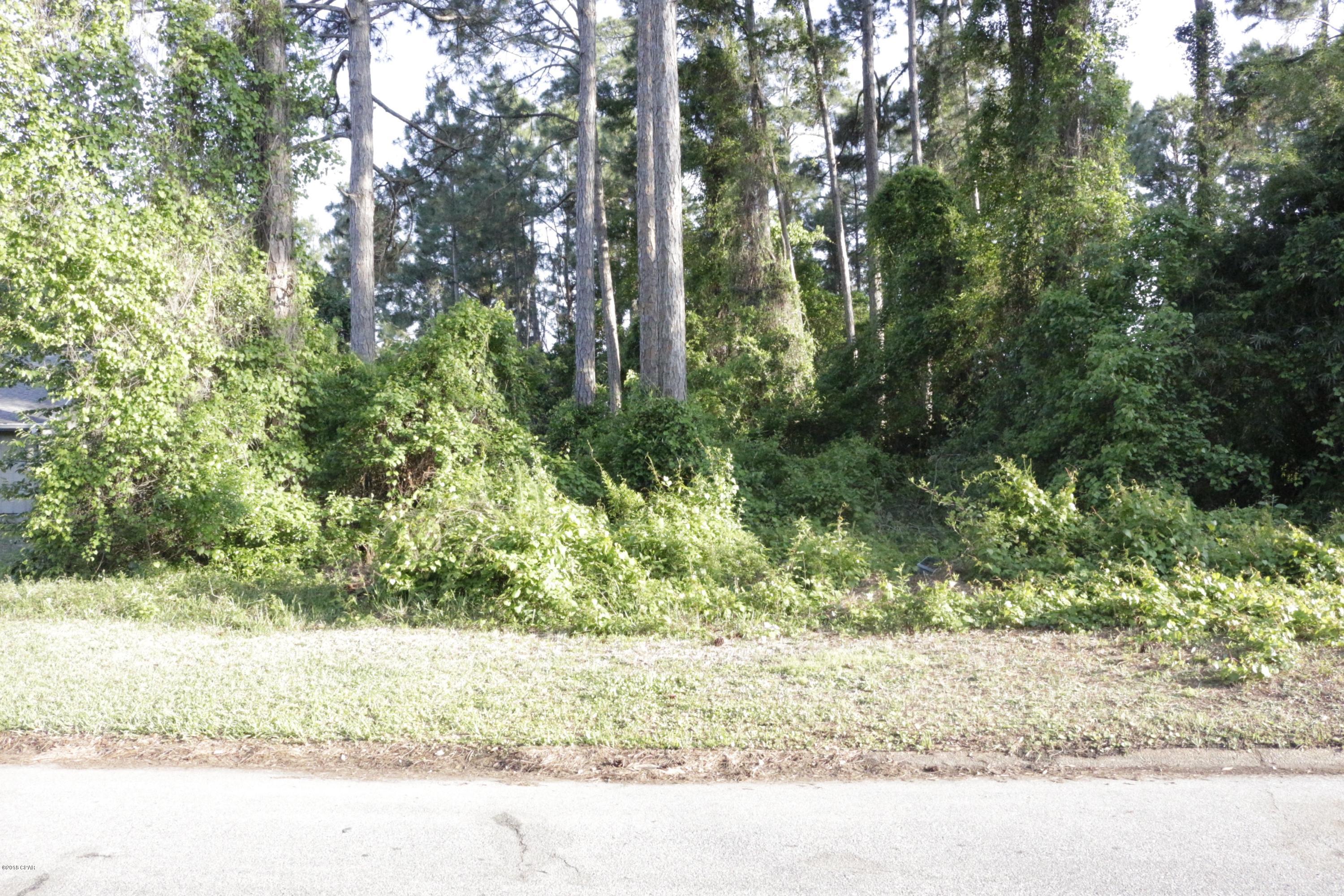 Check out this beautifully located quarter acre lot in the Woodlawn neighborhood. Very few lots are available here. You also have the rare opportunity to purchase the lot next to it for a total of over .5 acres of land.