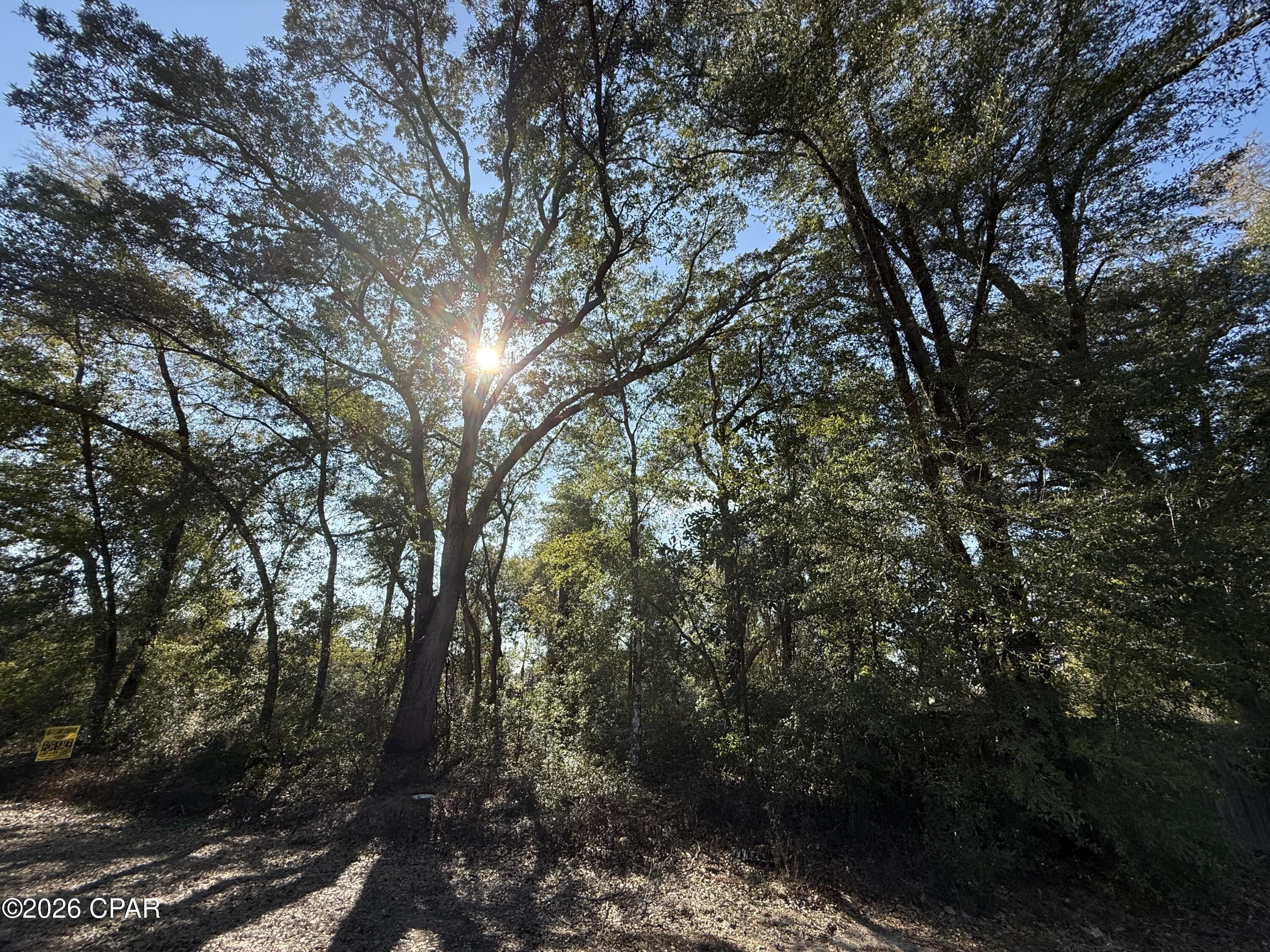 Indian Springs - Land