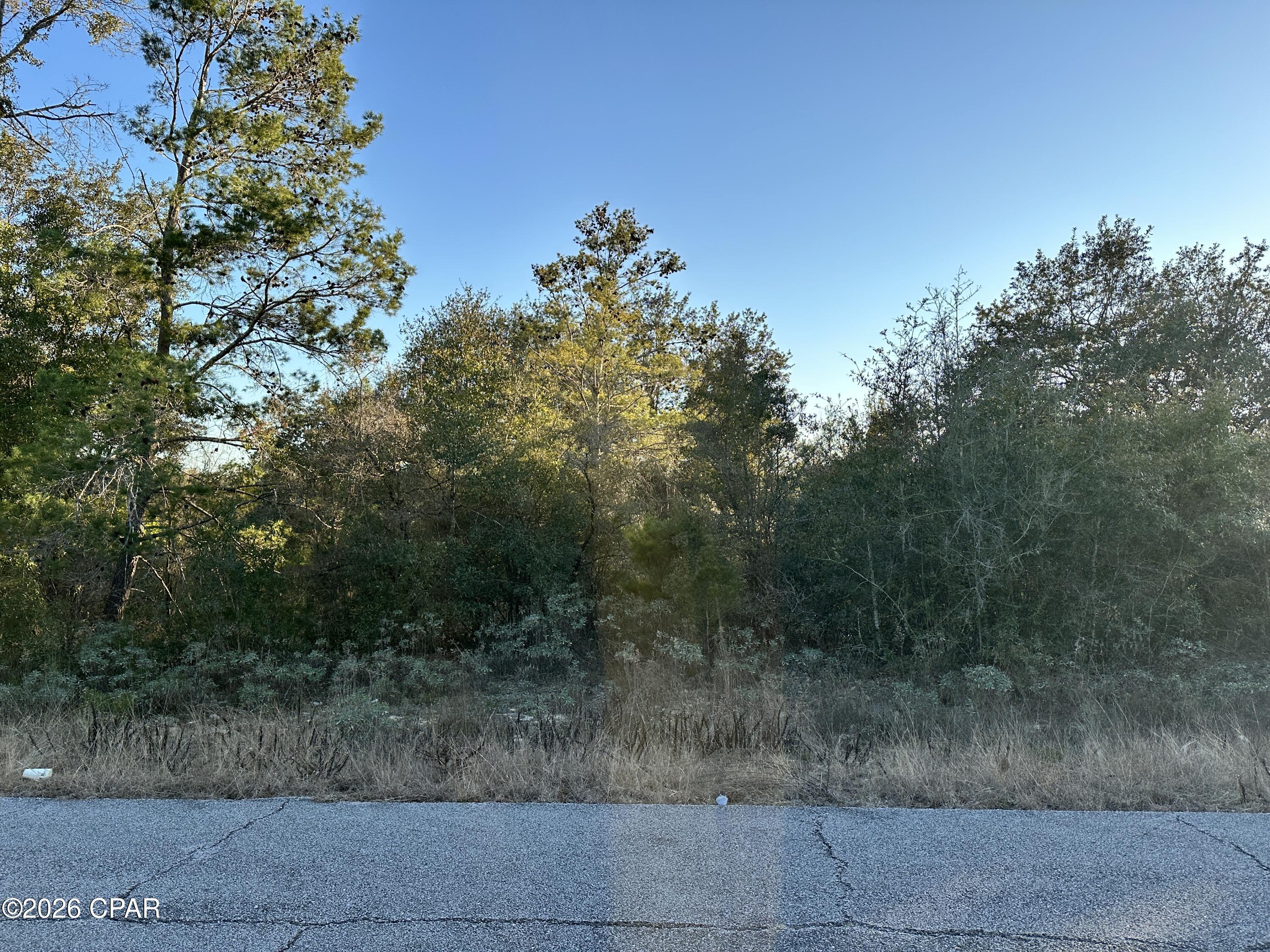 Sunny Hills - Land