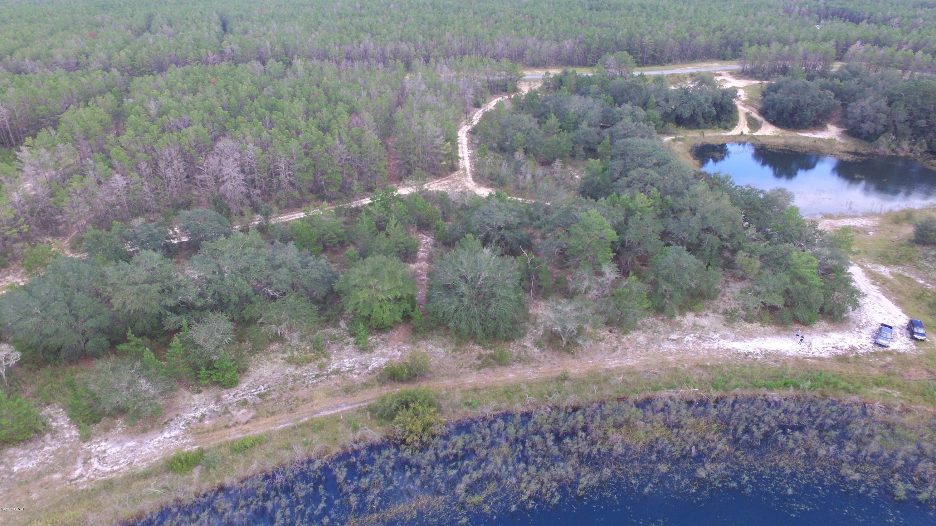 Bream Pond - Land