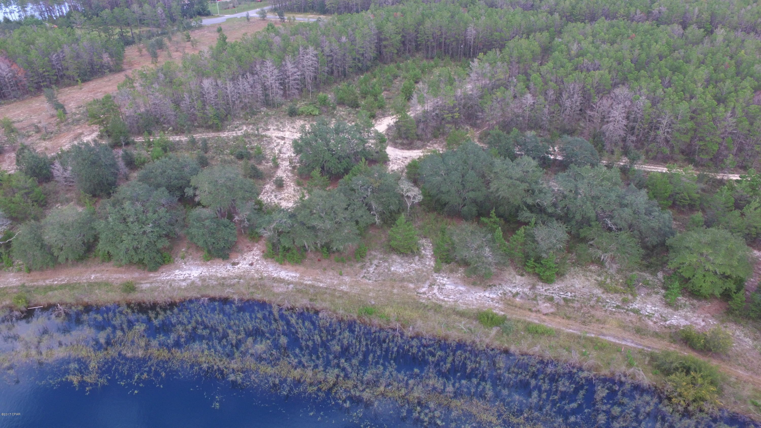 Bream Pond - Land