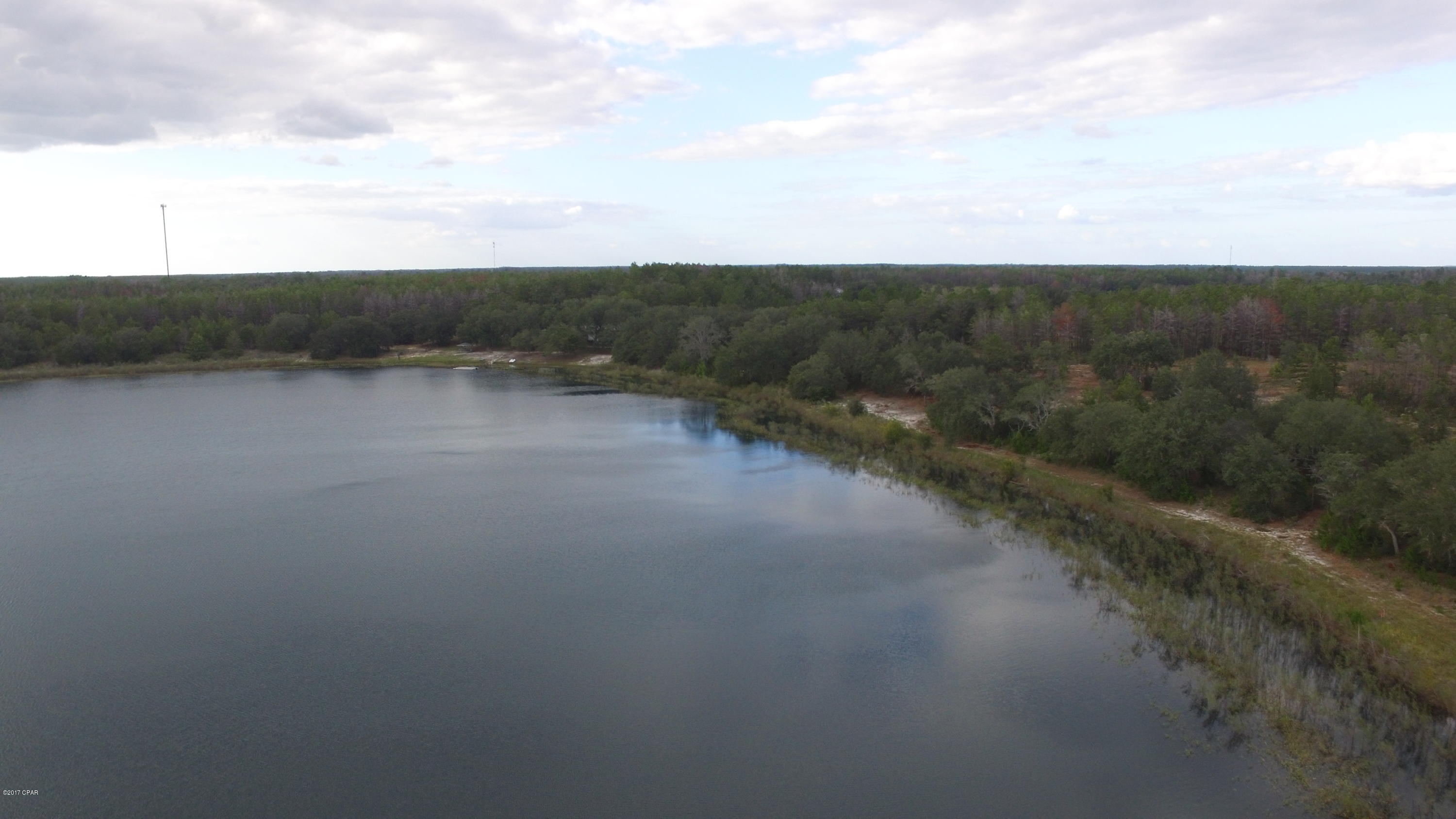 Bream Pond - Land