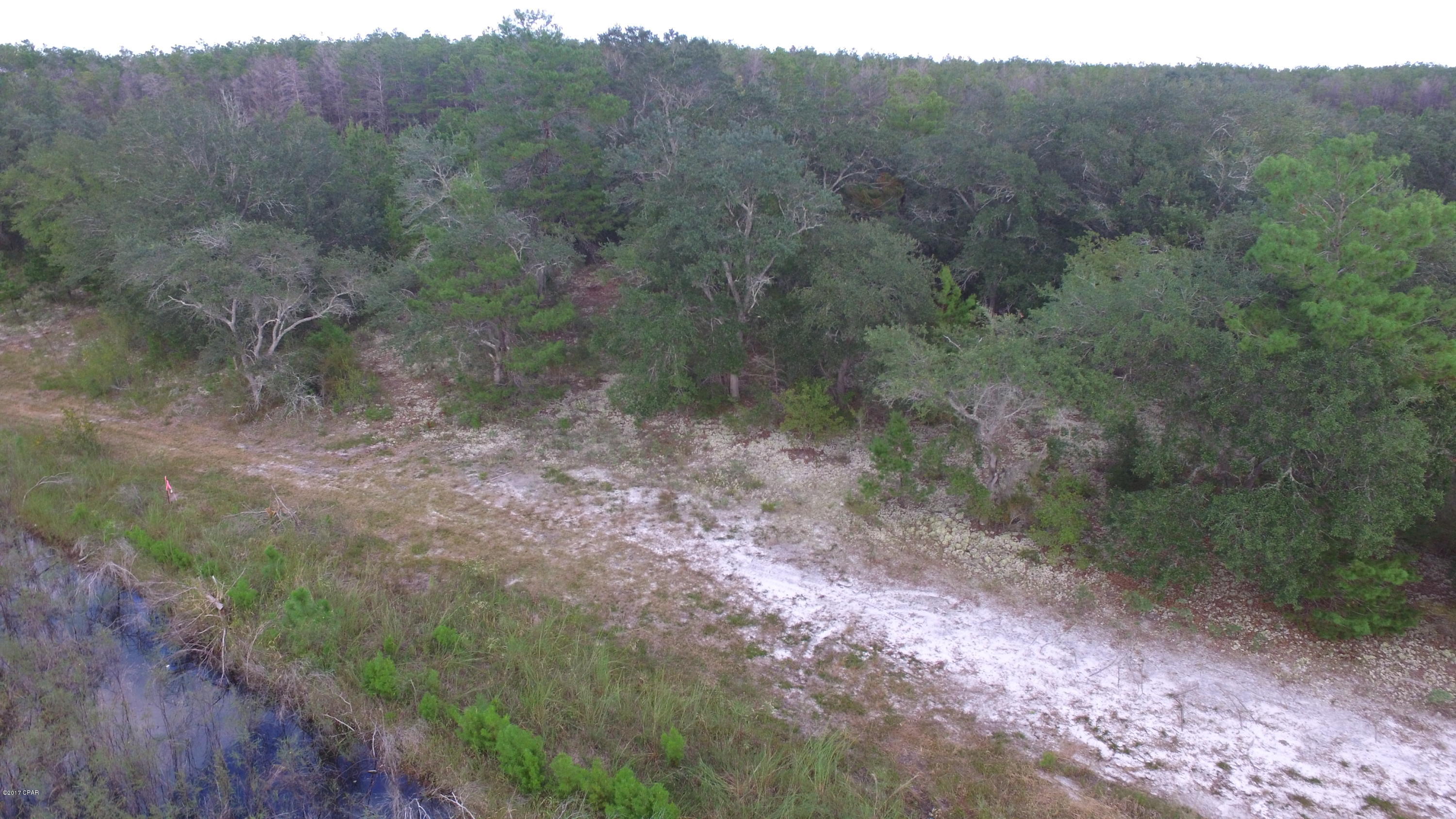 Bream Pond - Land