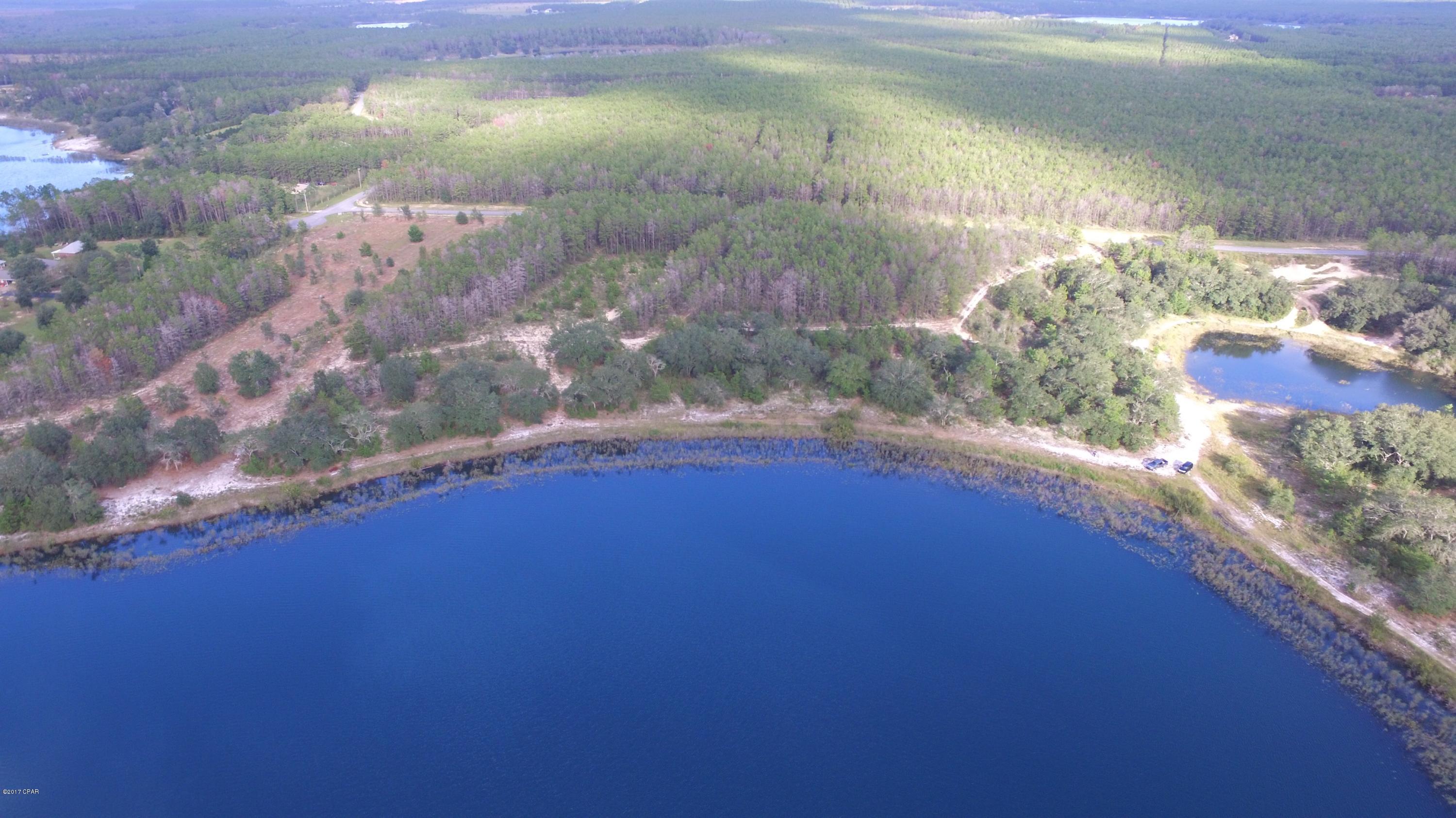 Bream Pond - Land