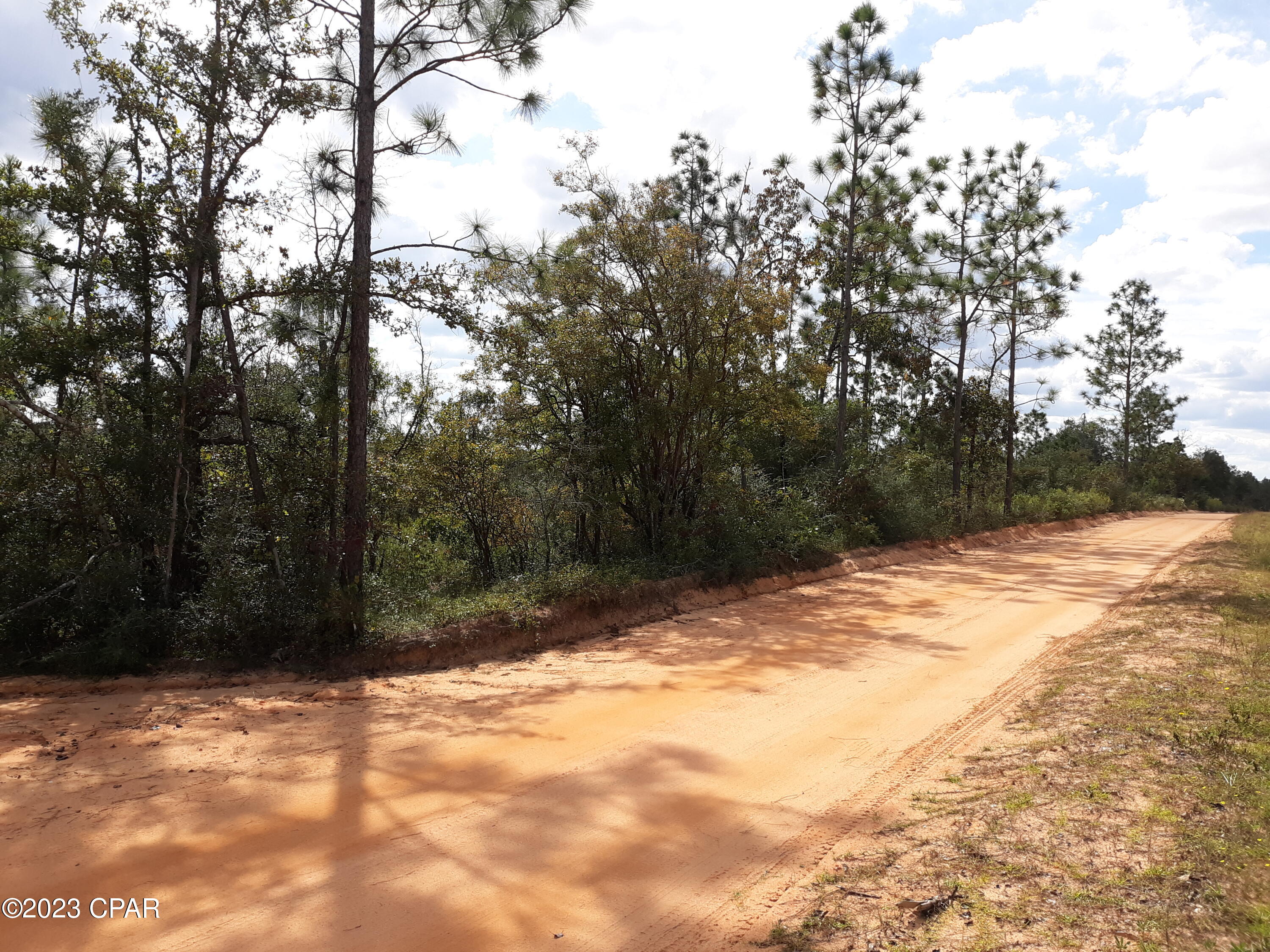 Nice wooded lot on level ground. Excellent 
for building your dream home.