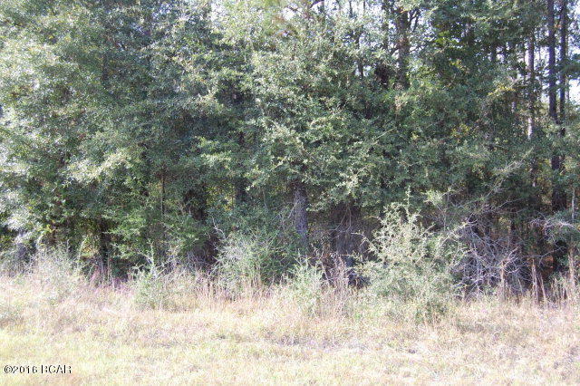 Beautiful wooded corner lot in Sylvania Estates. Deed restrictions apply. No mobile homes.