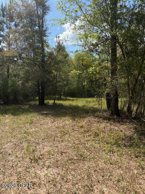 16 beautifully wooded acres recently surveyed, offering the perfect setting for a private and secluded retreat. Whether you're looking to connect with nature or create a hunting getaway, this property provides endless possibilities. A 14x32 storage building is already in place and could easily be converted into a hunt camp or weekend escape.  The rear portion of the property is located outside of the flood zone, making it an ideal location to build your dream homestead without the need for flood insurance. Enjoy peace and privacy while still being conveniently located just minutes from shopping, dining, and everyday essentials. With easy access to I-10, Hwy 71, and Hwy 73, you're a short drive from your straight shot to reach the Gulf Coast beaches. Outdoor enthusiasts will love the proximity to the Chipola River and the Magnolia Bridge Boat Ramp, perfect for boating and fishing just minutes away.  A rare opportunity to own a slice of nature with convenience--don't miss out!