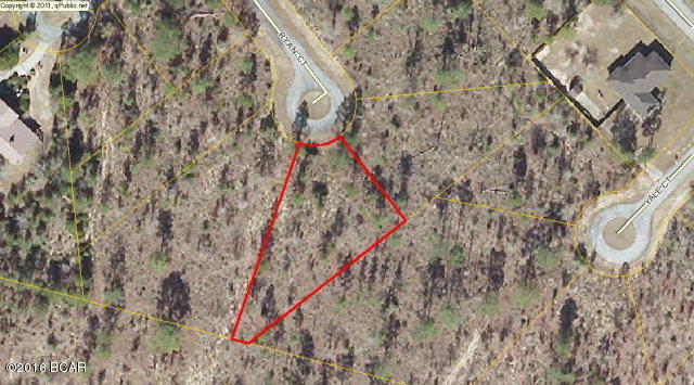 Huge (1/2 acre) lot in the Sunny Hills community. Lot is at the end of a cul-de-sac and behind is is a large conservation area that surrounds Blue Homestead Pond. Sunny Hills is located 25 miles north of Panama City and 18 miles south of Chipley. This community features a popular 18 hole golf course and many fine fishing and recreation lakes. This community is ready to absorb the growth moving north out of Panama City. Great opportunity to invest ahead of the growth!