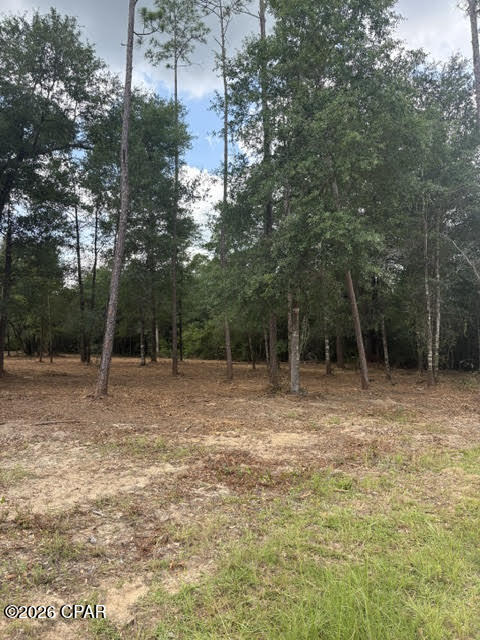 Cleared with scattered oaks, level lot located outside of a flood zone with convenient access to Highway 231. Travel south to Panama City and the beautiful Gulf Coast beaches, or north to Interstate 10 and Dothan, Alabama. This property is ideal for a land/home package, manufactured home, or the construction of your dream permanent residence. Electric service is available across the street for easy connection. Enjoy nearby outdoor recreation at Econfina Creek and Compass Lake, offering excellent opportunities for canoeing, boating, fishing, and exploring nature.