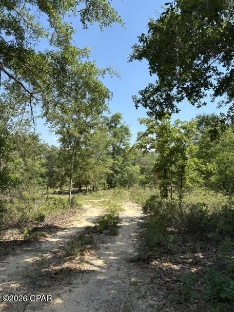 No Named Subdivision - Land