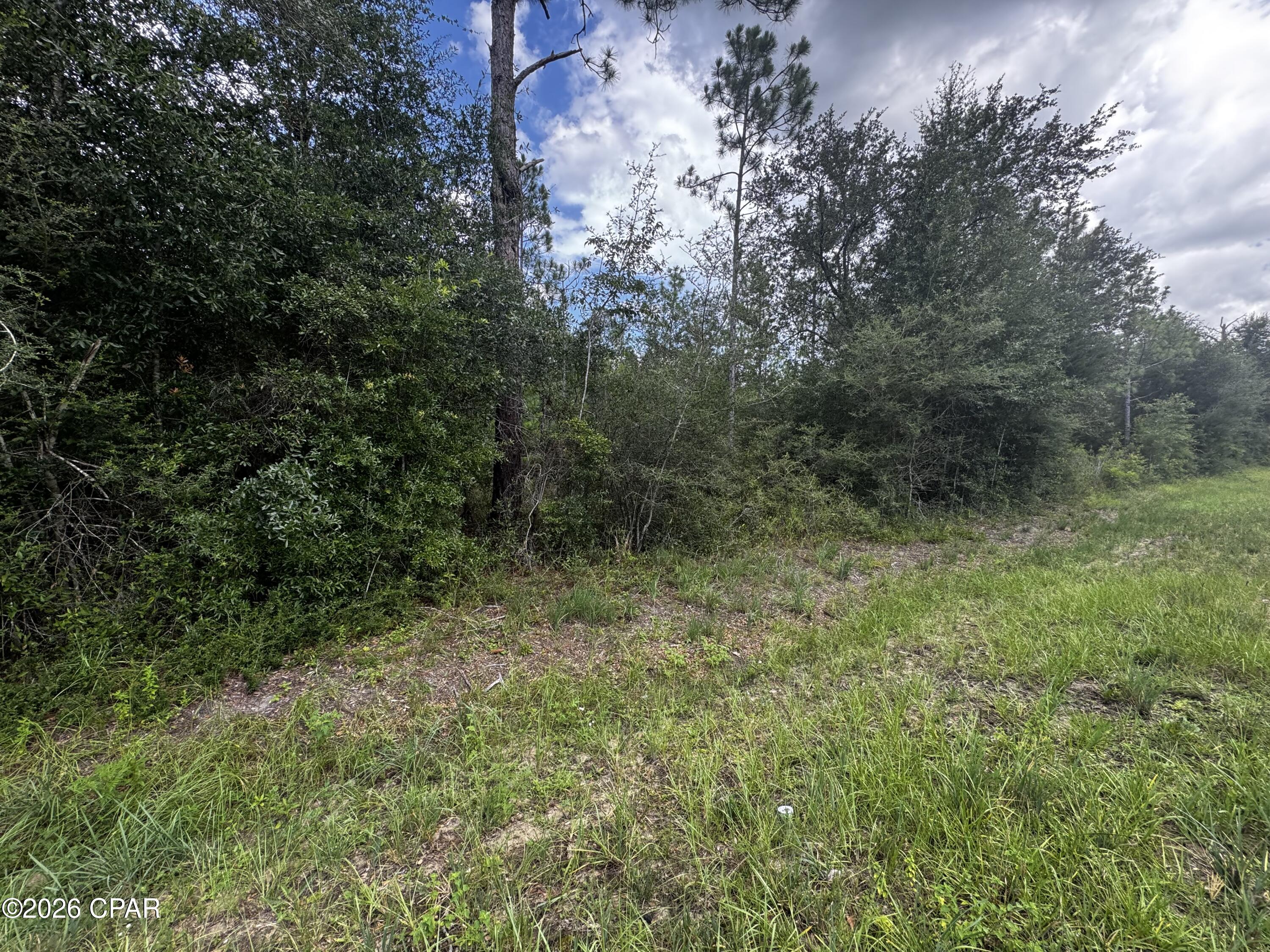 Lake Mckenzie Homes - Land