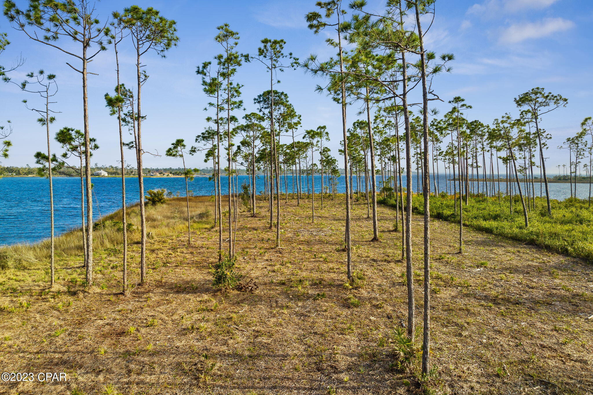 Laird Bayou - Land