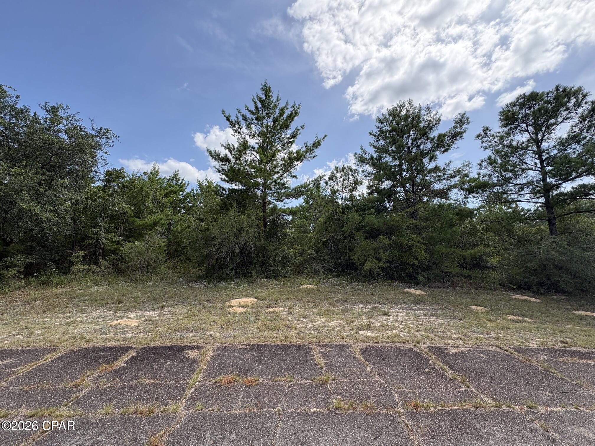 Build your Florida dream home on this beautiful .326-acre oversized homesite in the desirable Sunny Hills community of Chipley, Florida! Located at Lot 2 Tulsa Place, Unit 7, this level, wooded lot offers the perfect combination of privacy and convenience, making it an excellent choice for a custom home or long-term investment.

The property features a flat, buildable landscape with nice trees, allowing you to create the homesite that fits your vision while enjoying the natural surroundings. A private well will be needed for the water source, and electric service is conveniently located just one lot away at the corner of Tulsa Place and Alhambra Avenue, helping simplify the building process.

Sunny Hills is a growing community known for its peaceful setting, affordable homesites, and easy access to nearby lakes, parks, and the beautiful beaches of Florida's Emerald Coast. Whether you're ready to build now or secure land for the future, this oversized lot offers outstanding potential in one of Washington County's most sought-after communities.

Don't miss this opportunity to own a spacious, buildable lot in Sunny Hills--bring your builder and your plans and start creating your Florida lifestyle today!

*** Investors... LOOK - Same seller has lot 2 TConfetti Place for sale for the same price just one street over !***